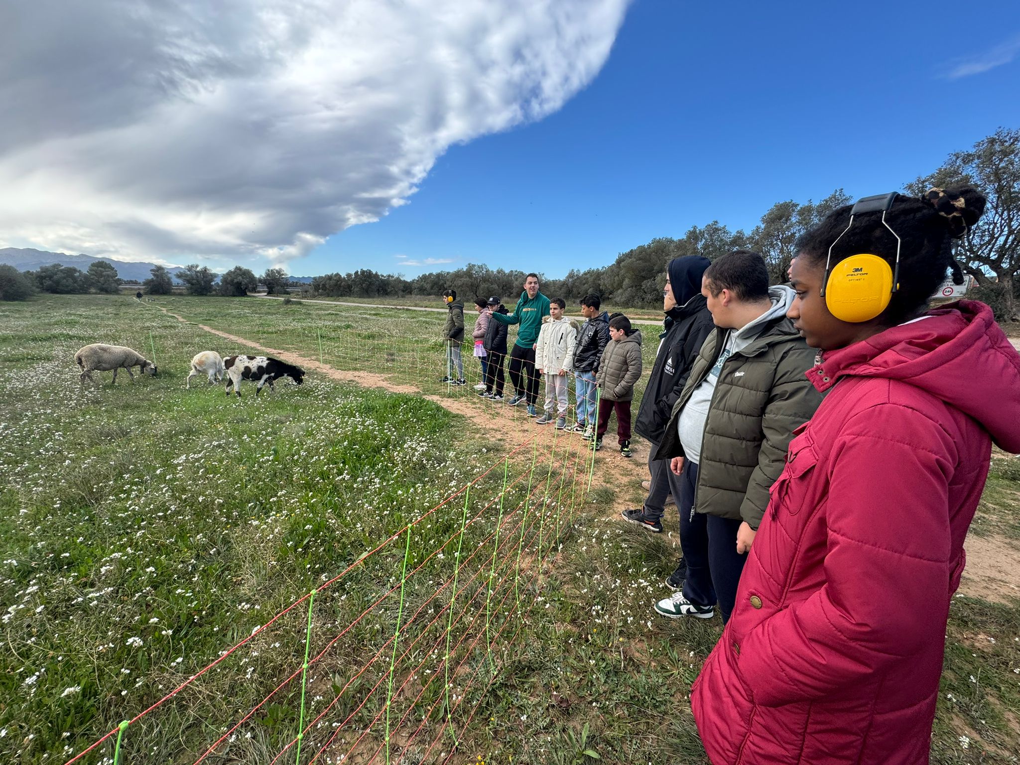 WhatsApp Image 2026-01-23 at 12.33.11