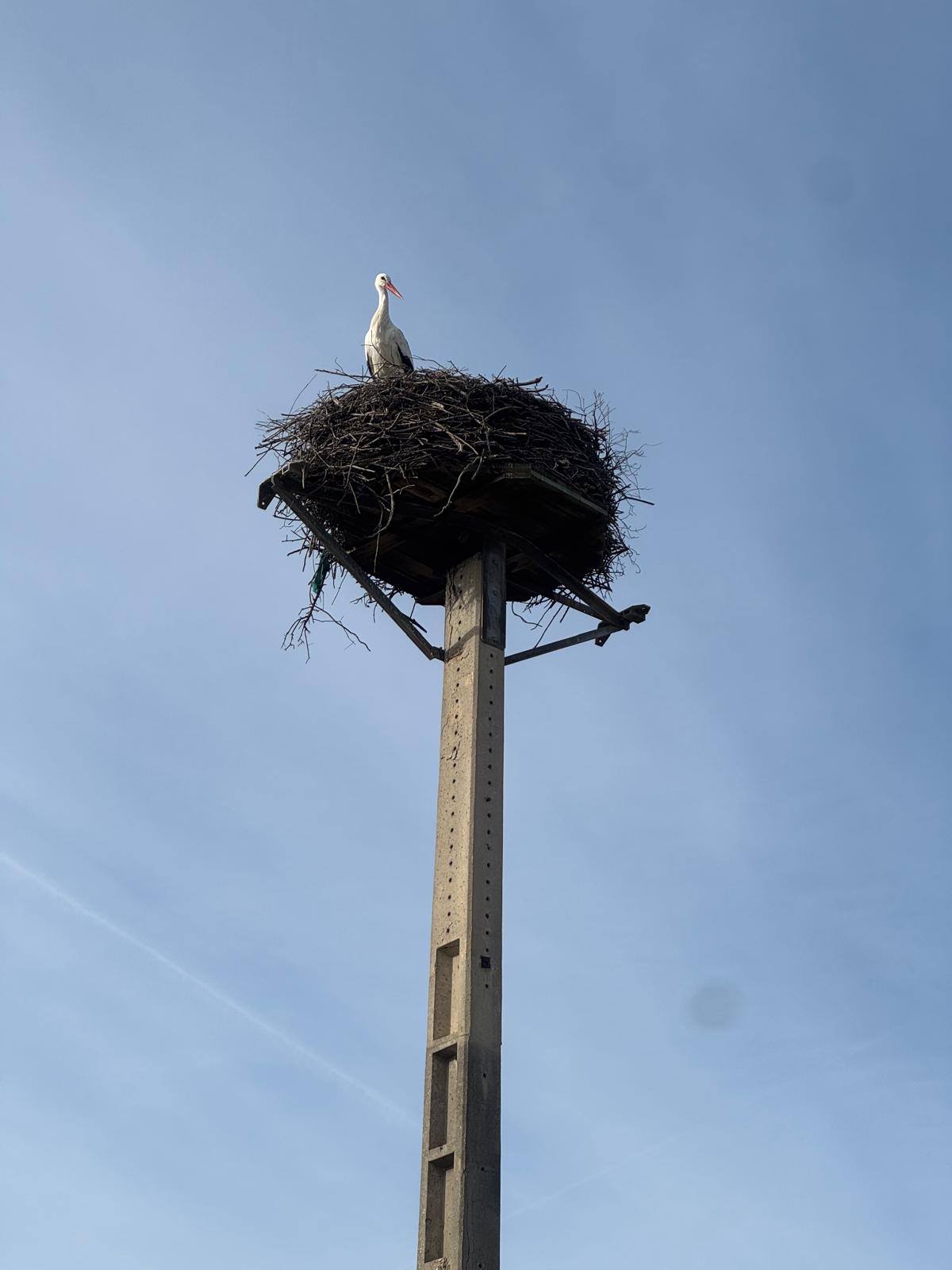 WhatsApp Image 2026-02-20 at 16.36.38 (3)