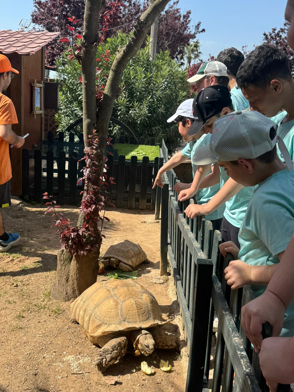 WhatsApp Image 2026-04-08 at 15.52.06 (1)