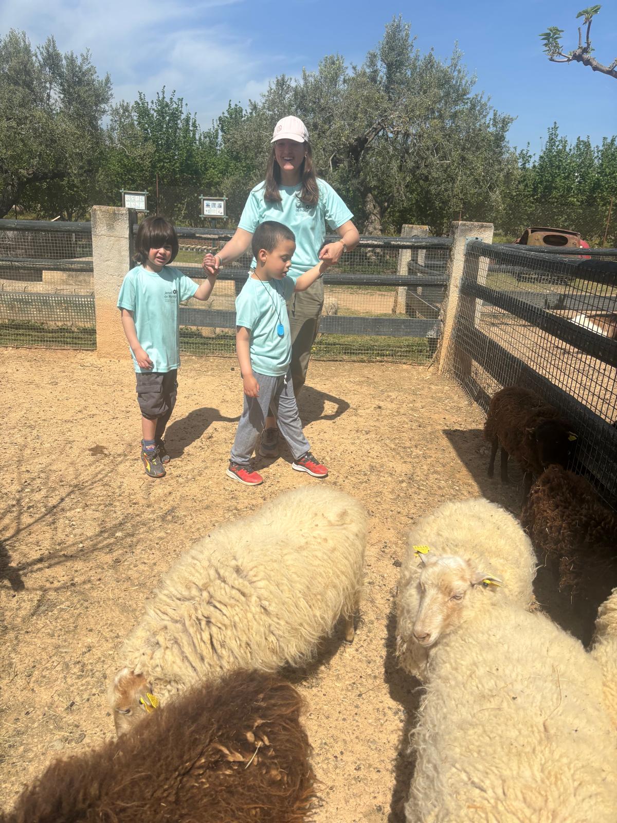 WhatsApp Image 2026-04-08 at 15.52.51