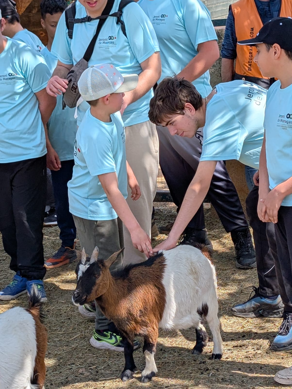 WhatsApp Image 2026-04-08 at 15.57.27