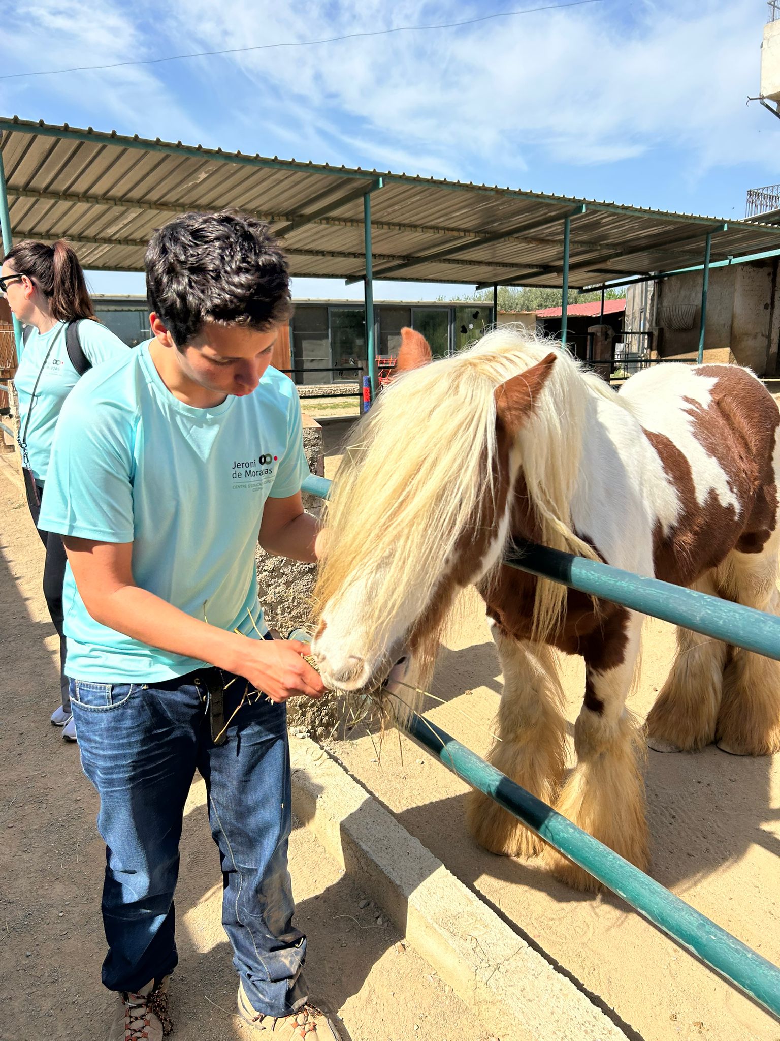 WhatsApp Image 2026-04-08 at 15.58.57 (2)