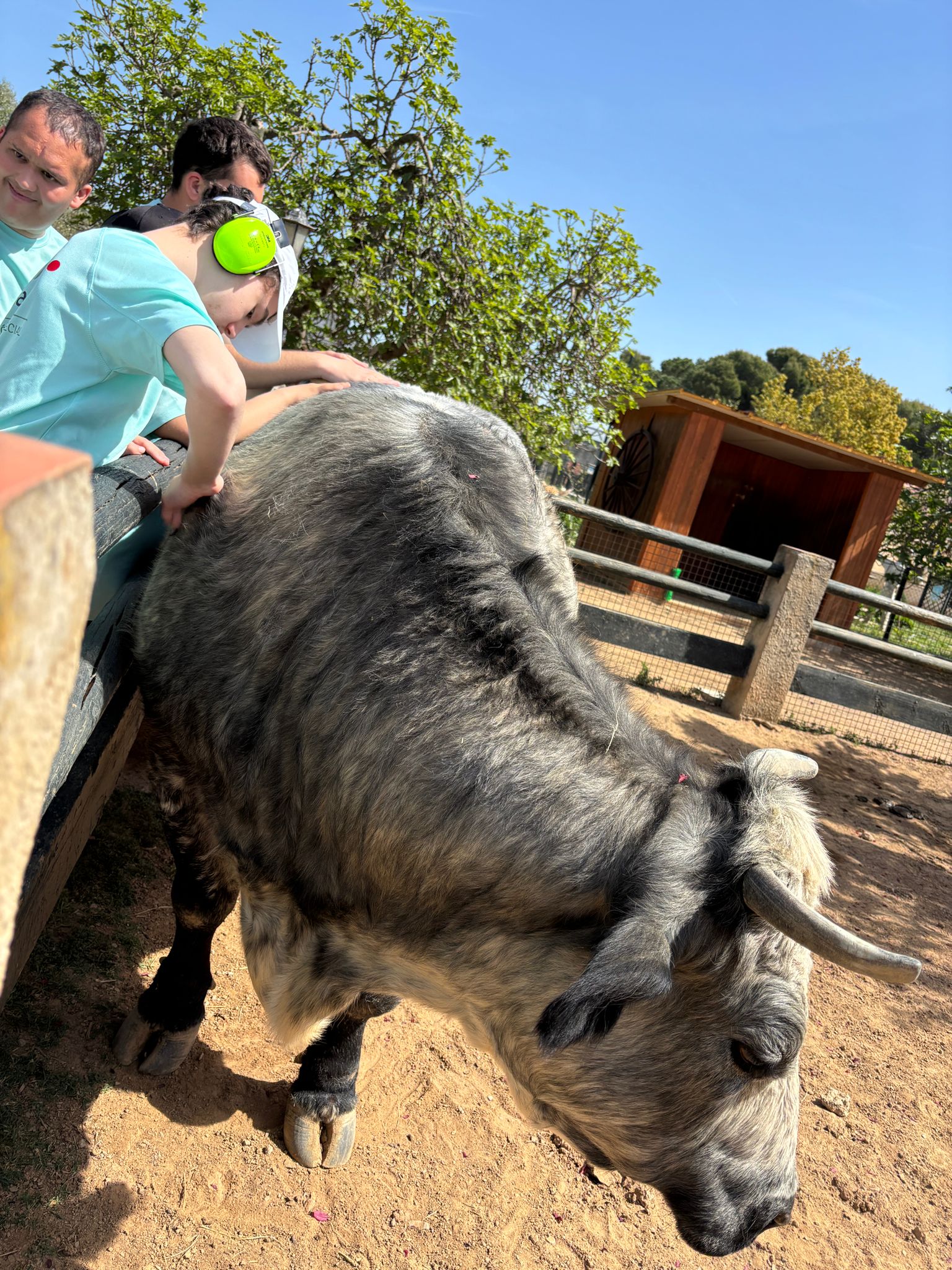 WhatsApp Image 2026-04-08 at 16.48.28