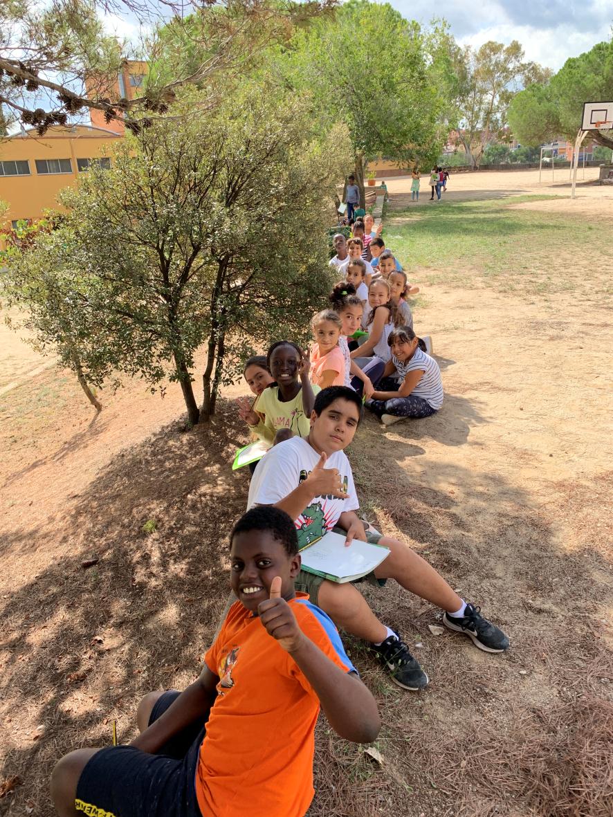 Aprenem sobre l'alzina