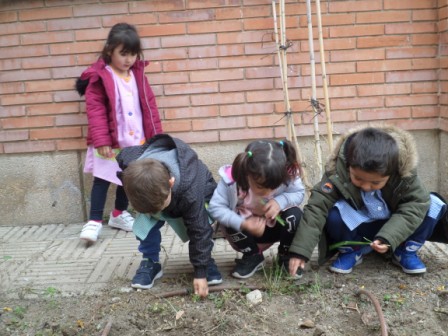 SAMSUNG CAMERA PICTURES