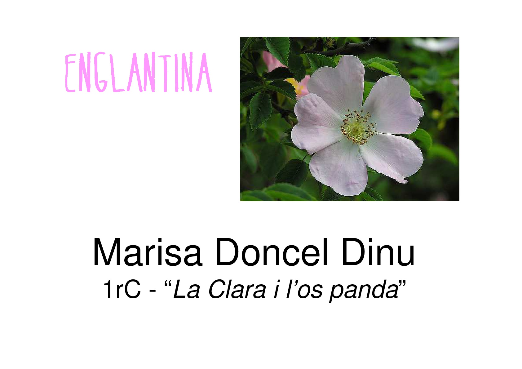 XXVI-JOCS-FLORALS-030