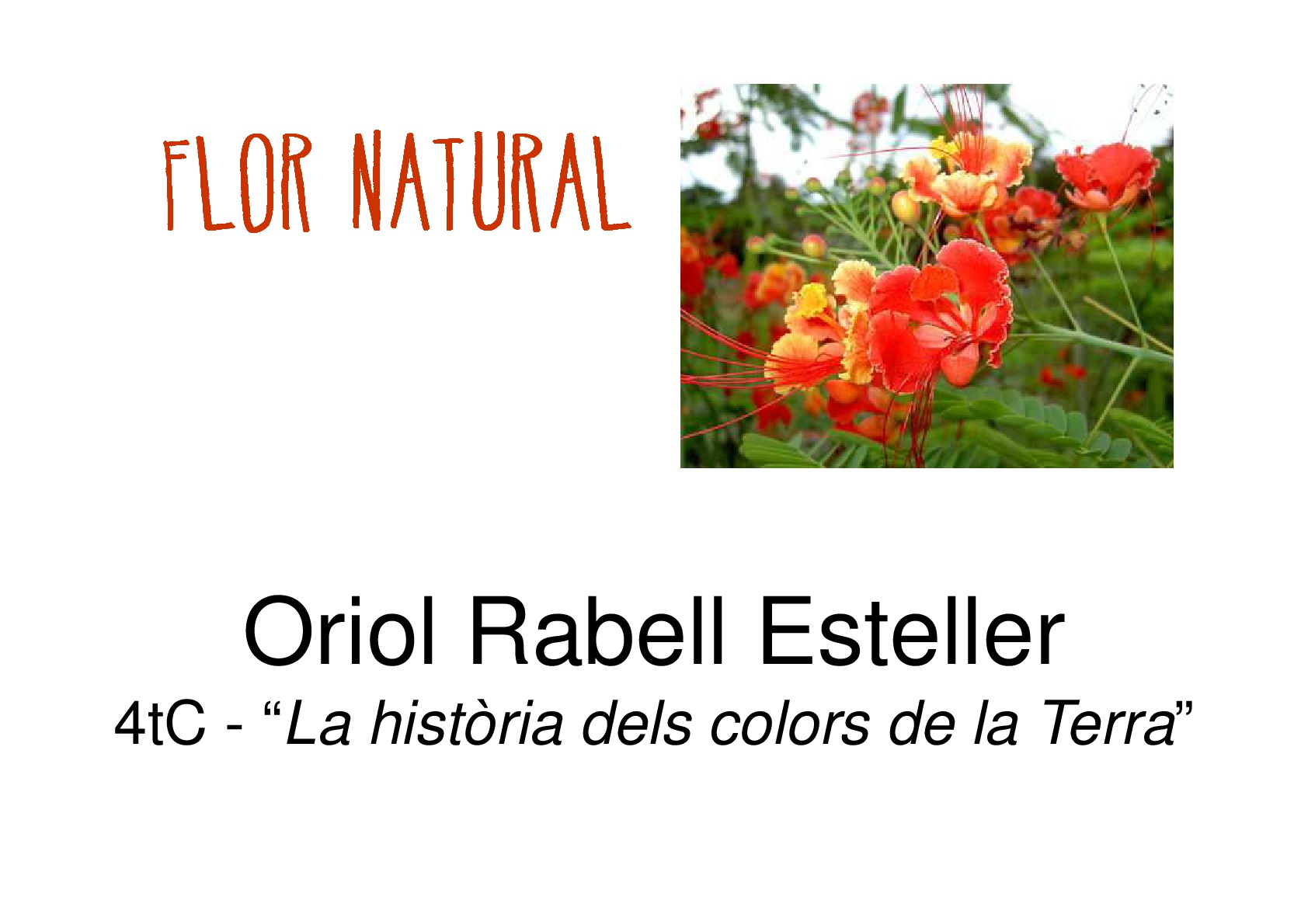 XXVI-JOCS-FLORALS-033