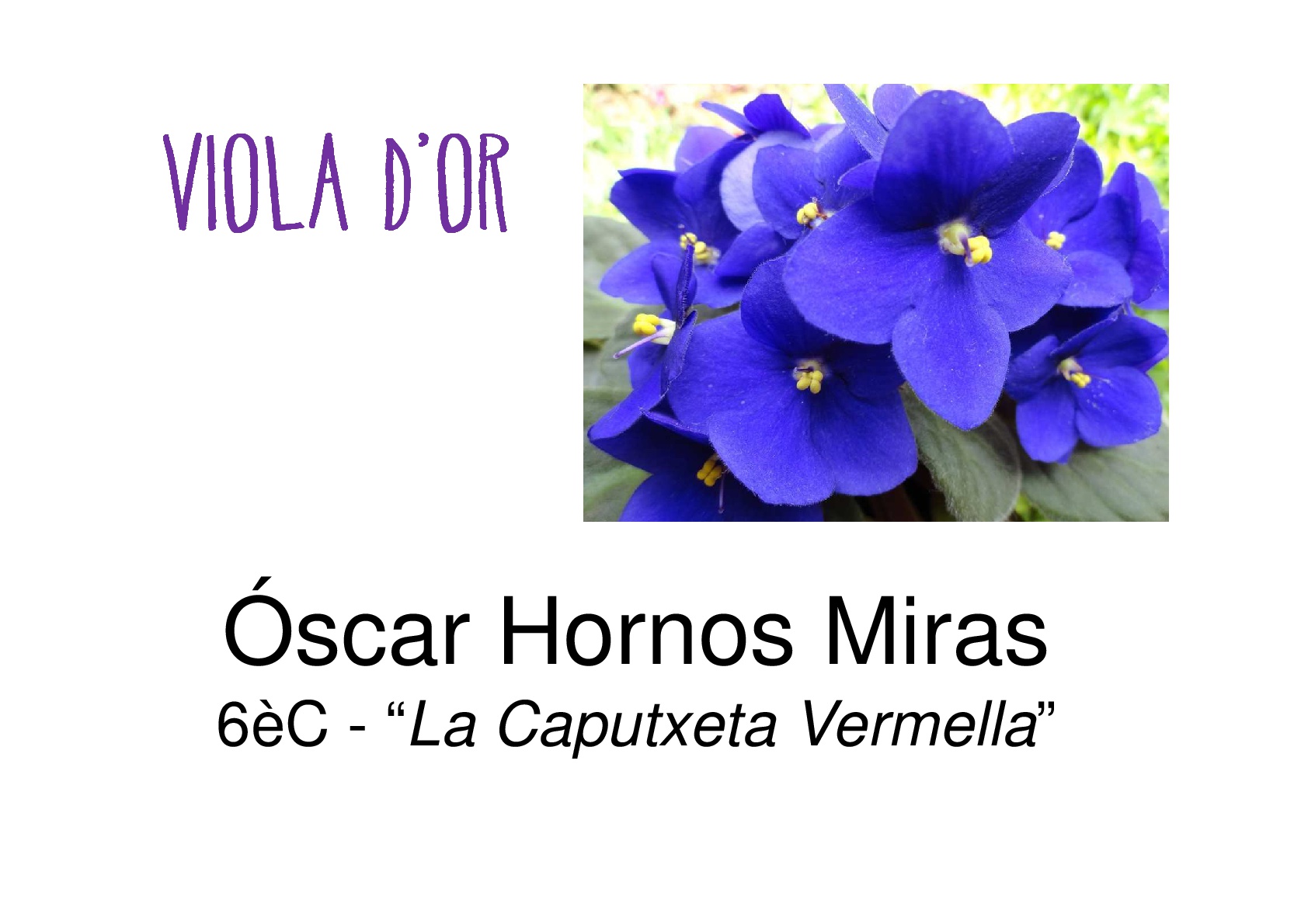 XXVI-JOCS-FLORALS-036