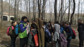 2018-04-06-PHOTO-00000047