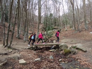 2018-04-06-PHOTO-00000121