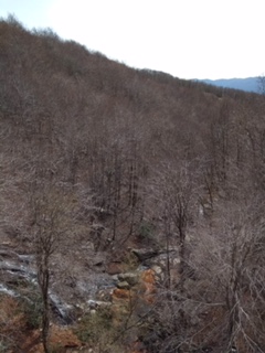 2018-04-06-PHOTO-00000123