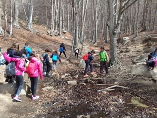 2018-04-06-PHOTO-00000129