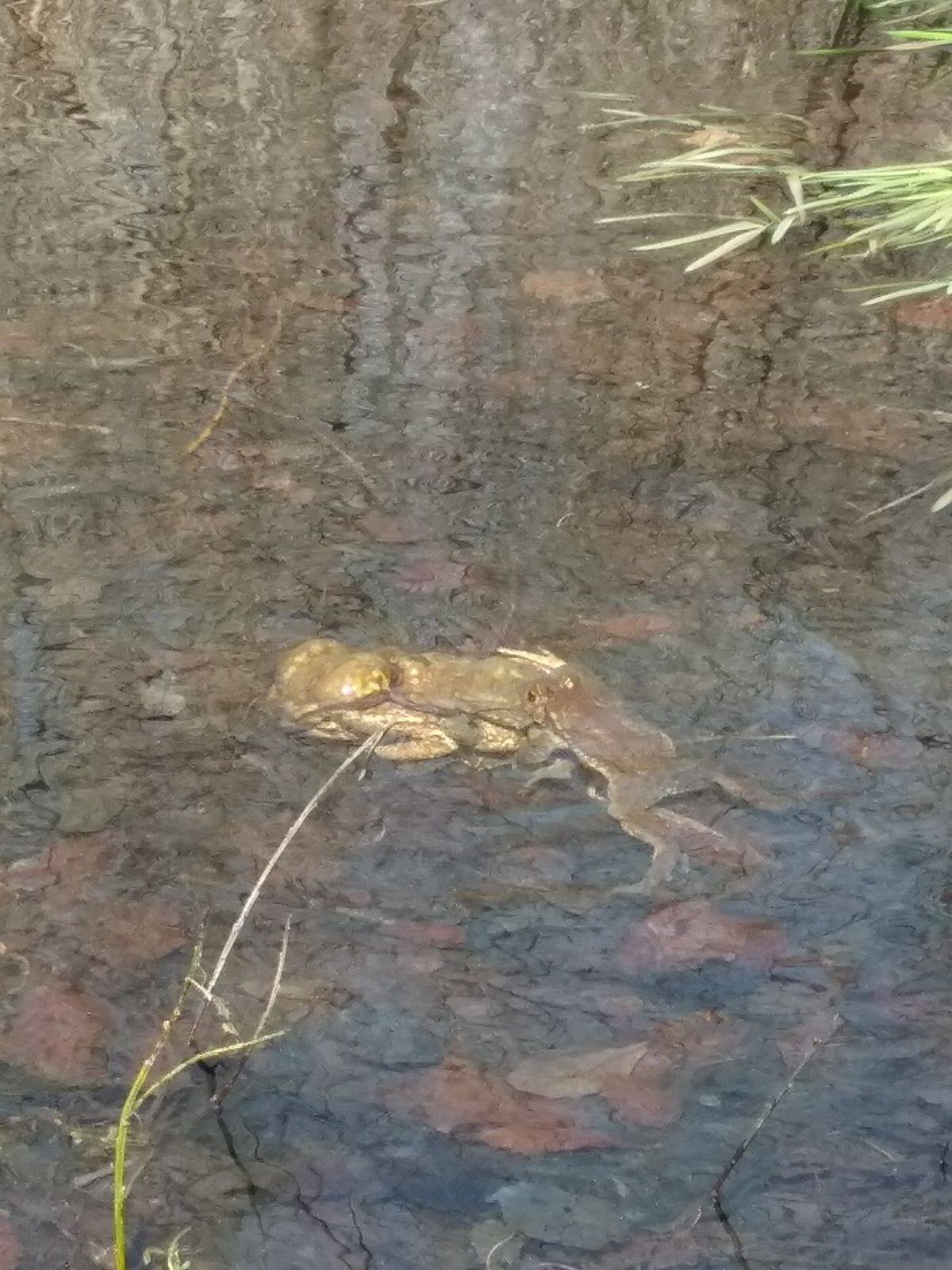 2018-04-06-PHOTO-00000136