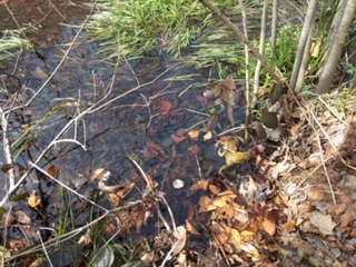 2018-04-06-PHOTO-00000140