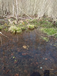 2018-04-06-PHOTO-00000141