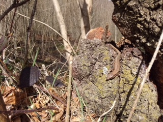 2018-04-06-PHOTO-00000148