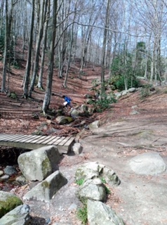 2018-04-06-PHOTO-00000763