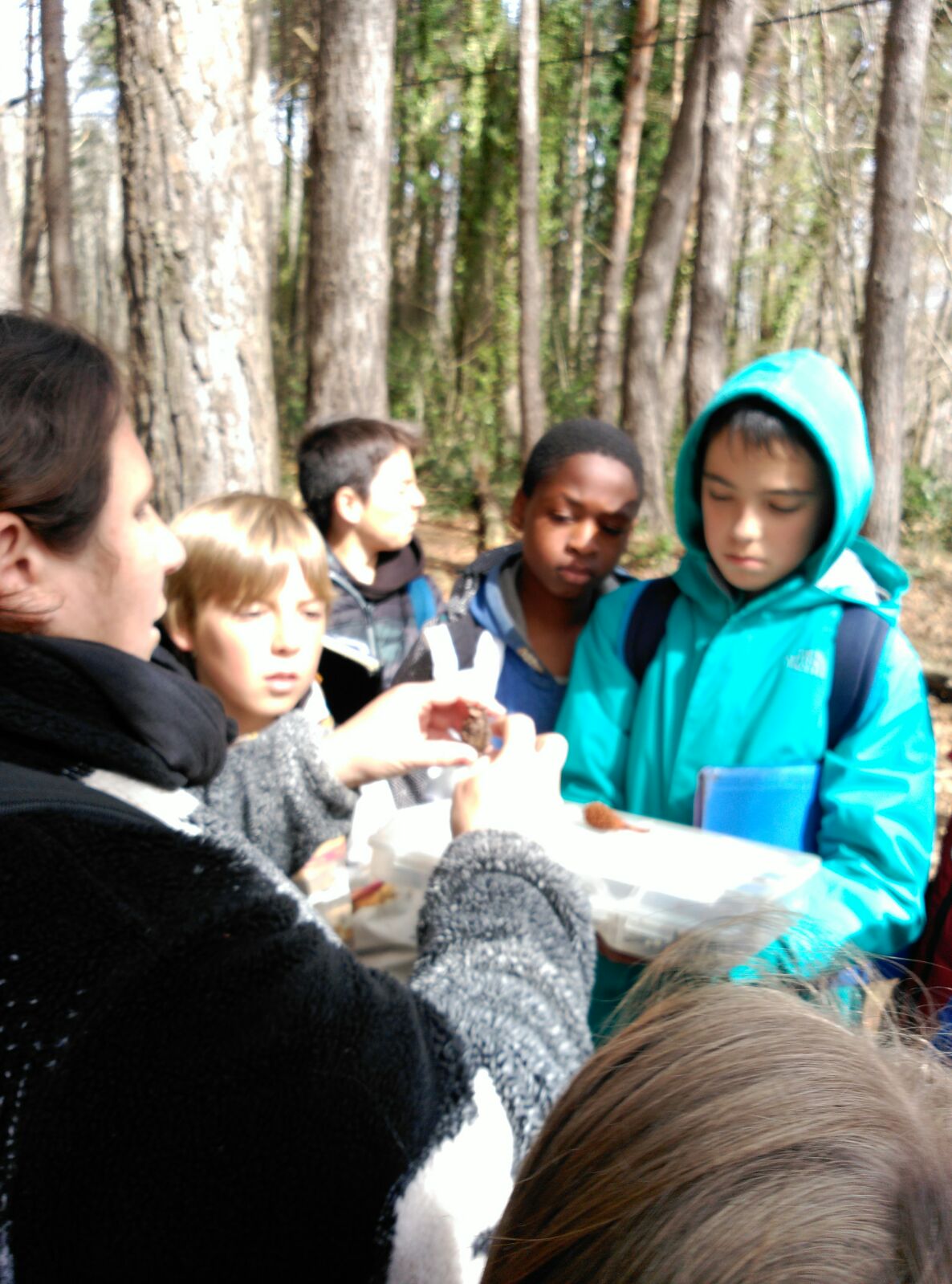 2018-04-06-PHOTO-00000766