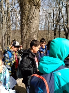 2018-04-06-PHOTO-00000774