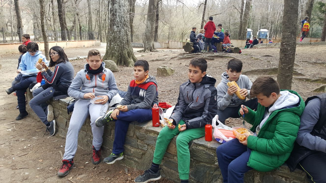 2018-04-07-PHOTO-00001043