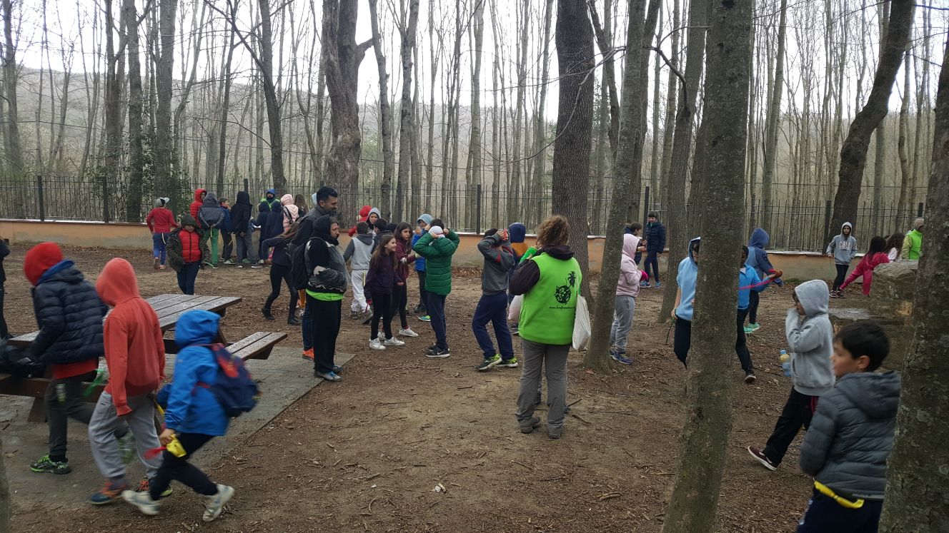 2018-04-07-PHOTO-00001044