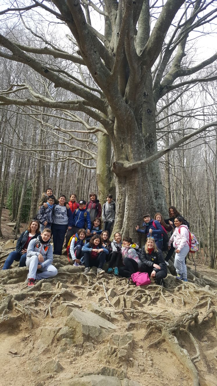 2018-04-07-PHOTO-00001048