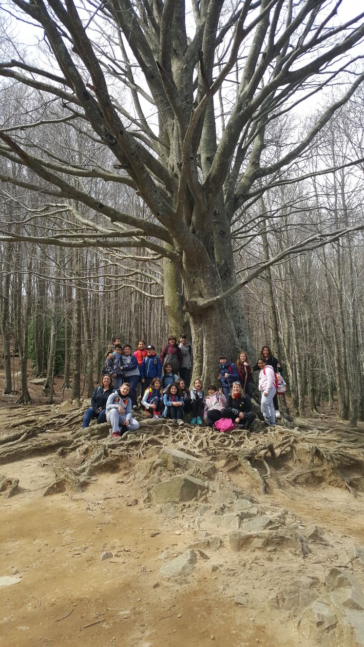 2018-04-07-PHOTO-00001049