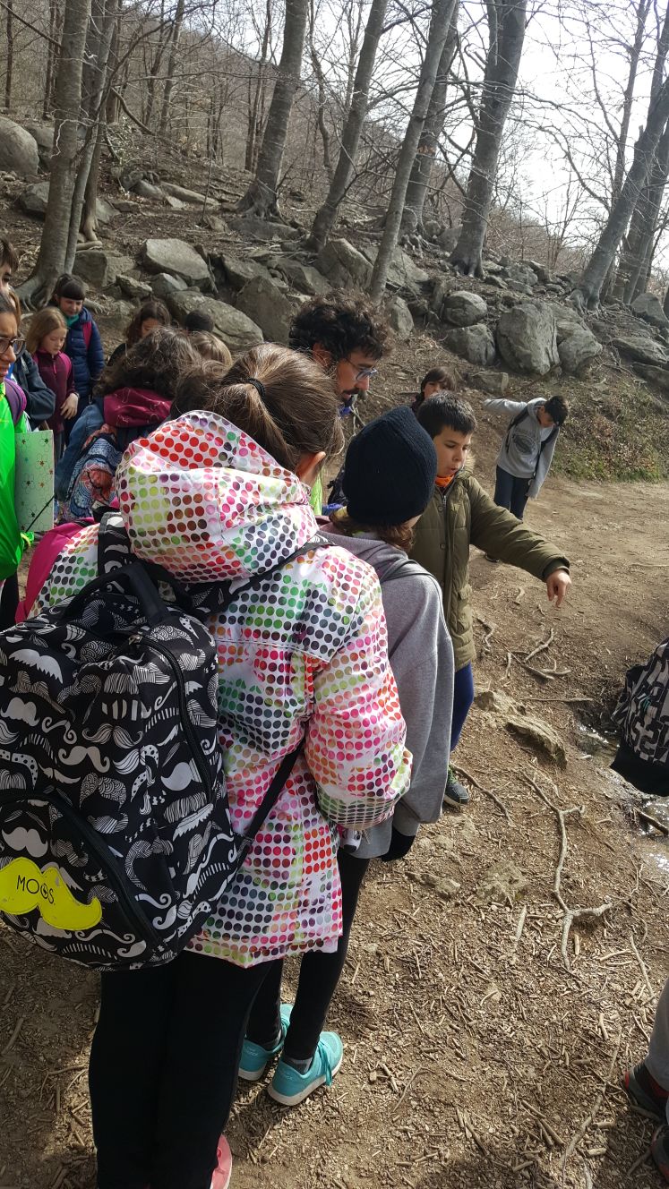 2018-04-07-PHOTO-00001051