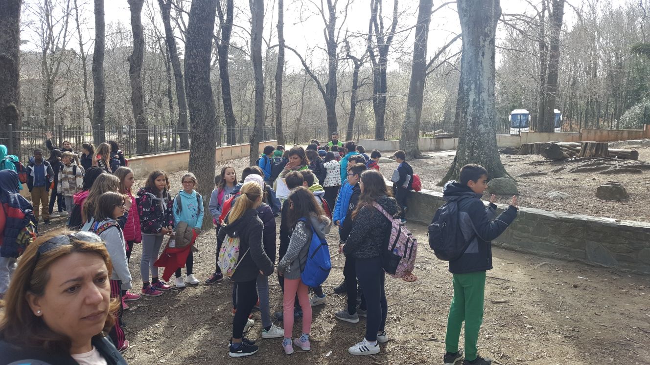 2018-04-07-PHOTO-00001056