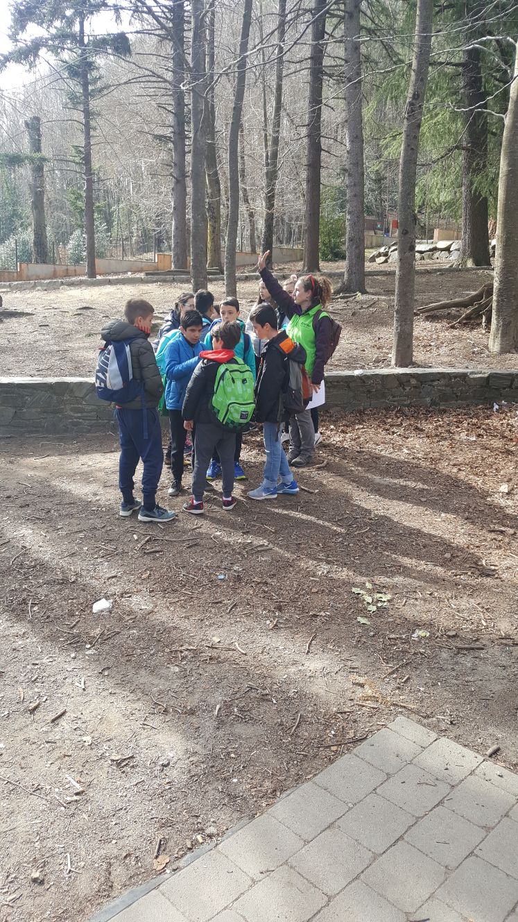 2018-04-07-PHOTO-00001057