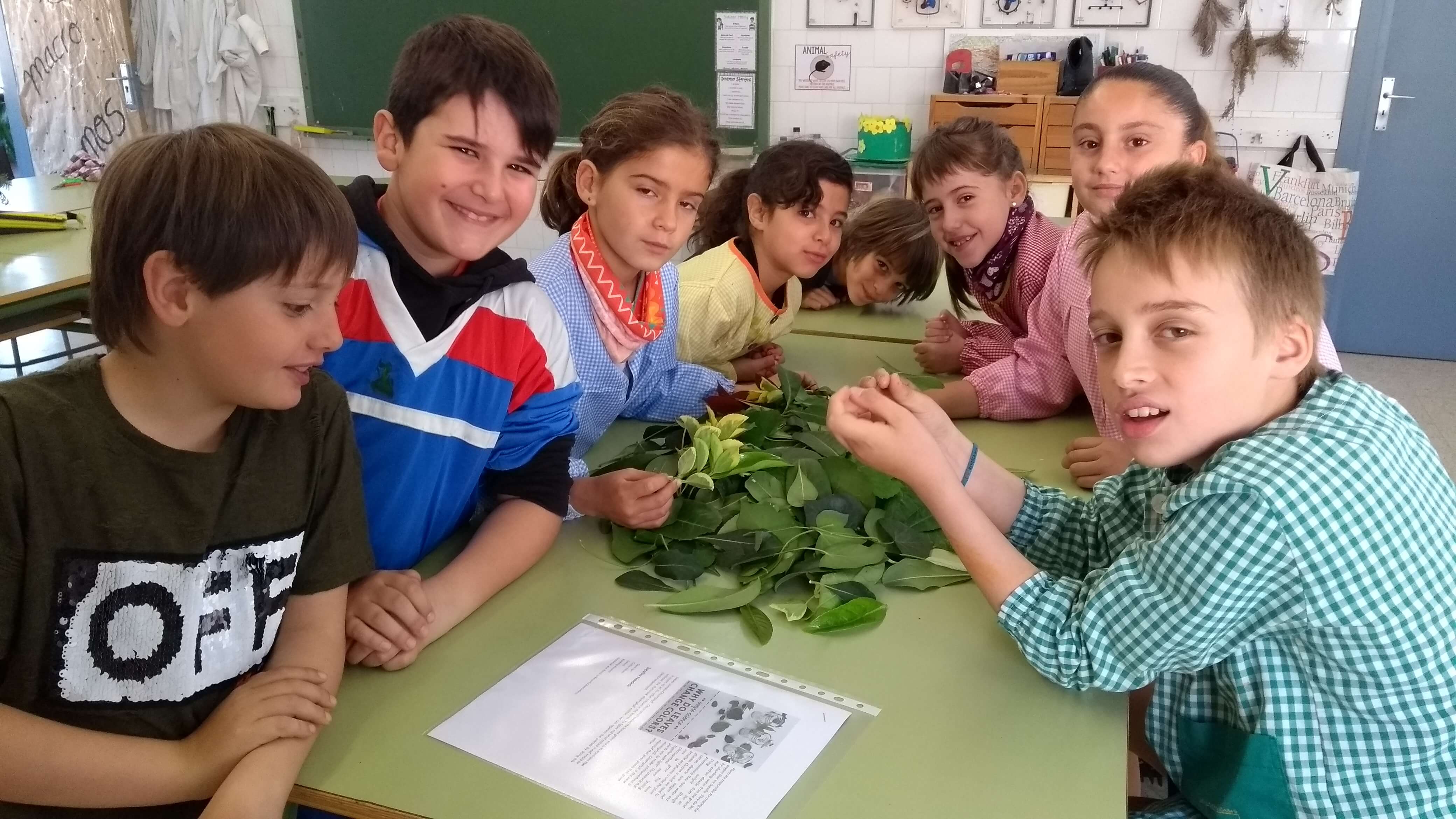 IMG_20180418_092058348