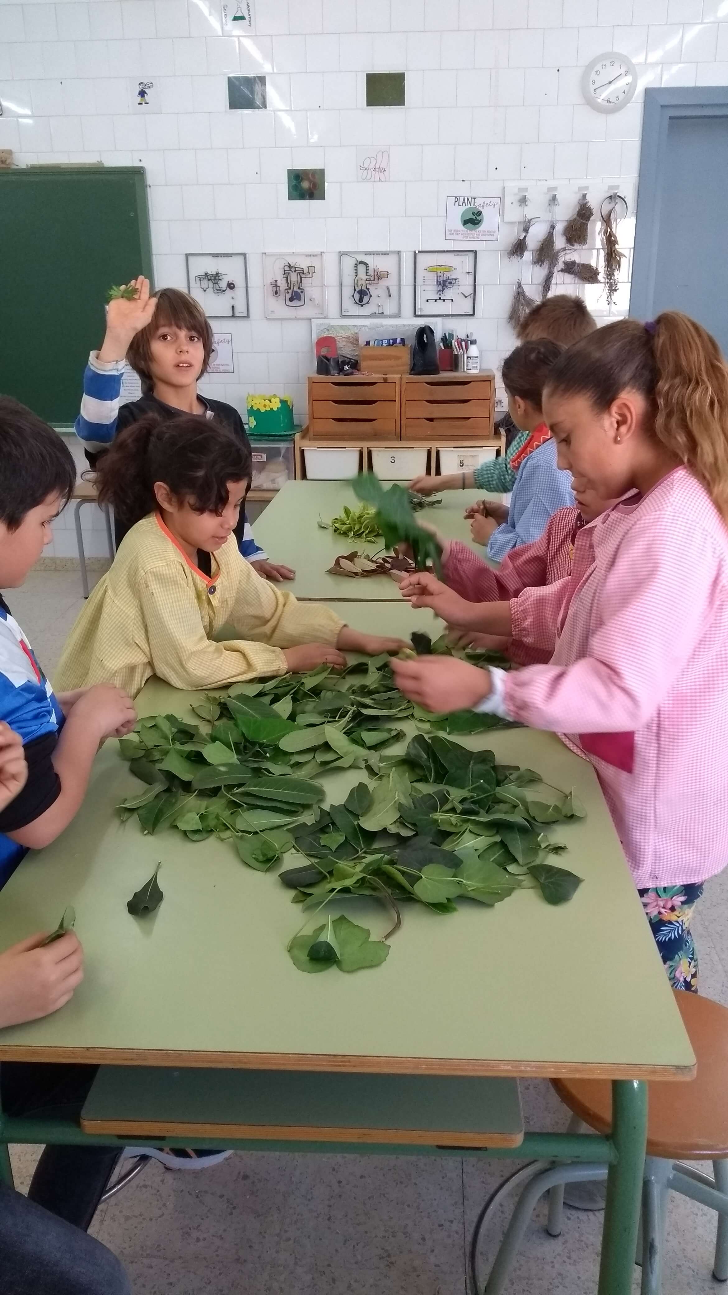 IMG_20180418_092329877_BURST000_COVER_TOP