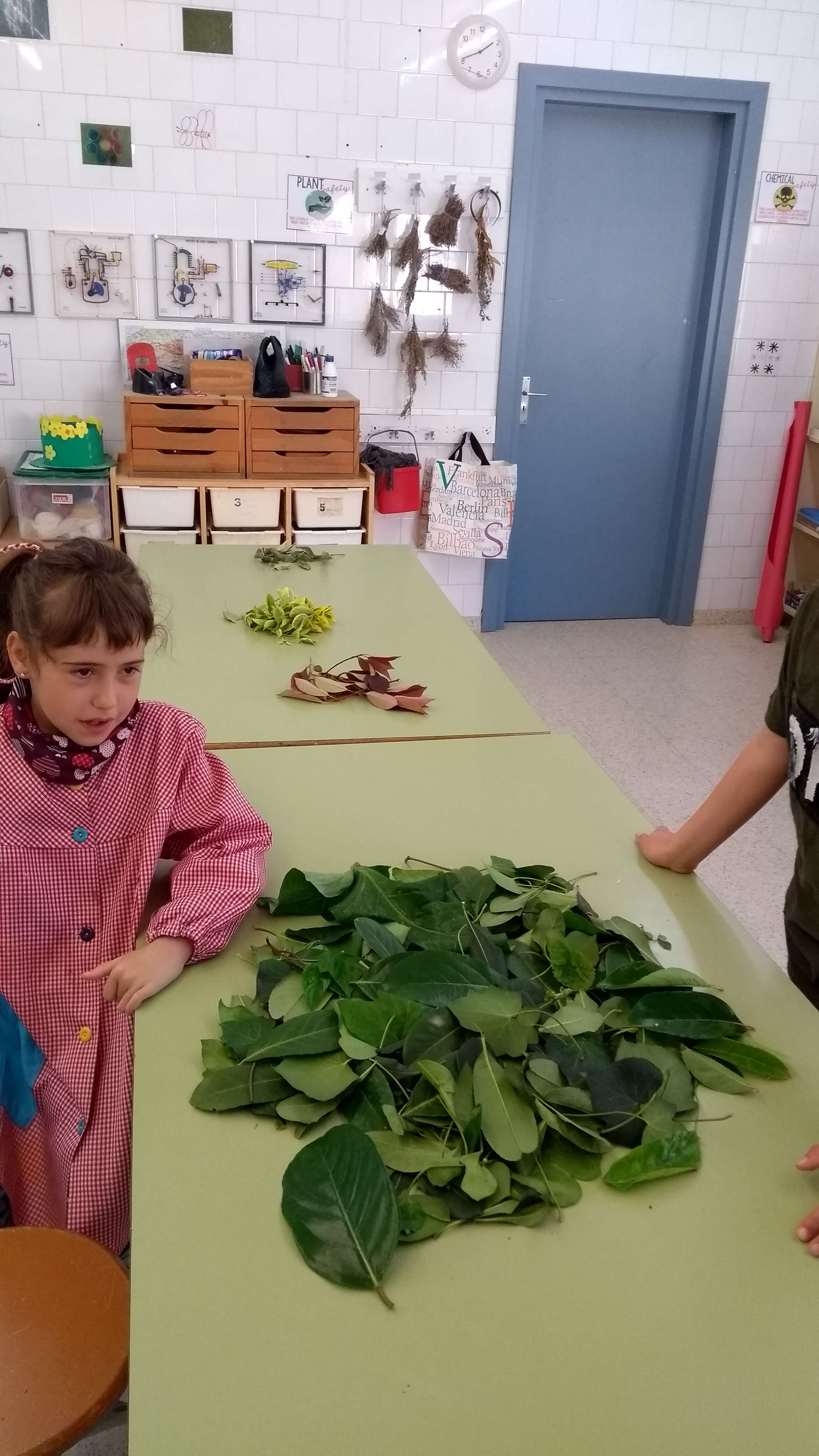 IMG_20180418_092706453