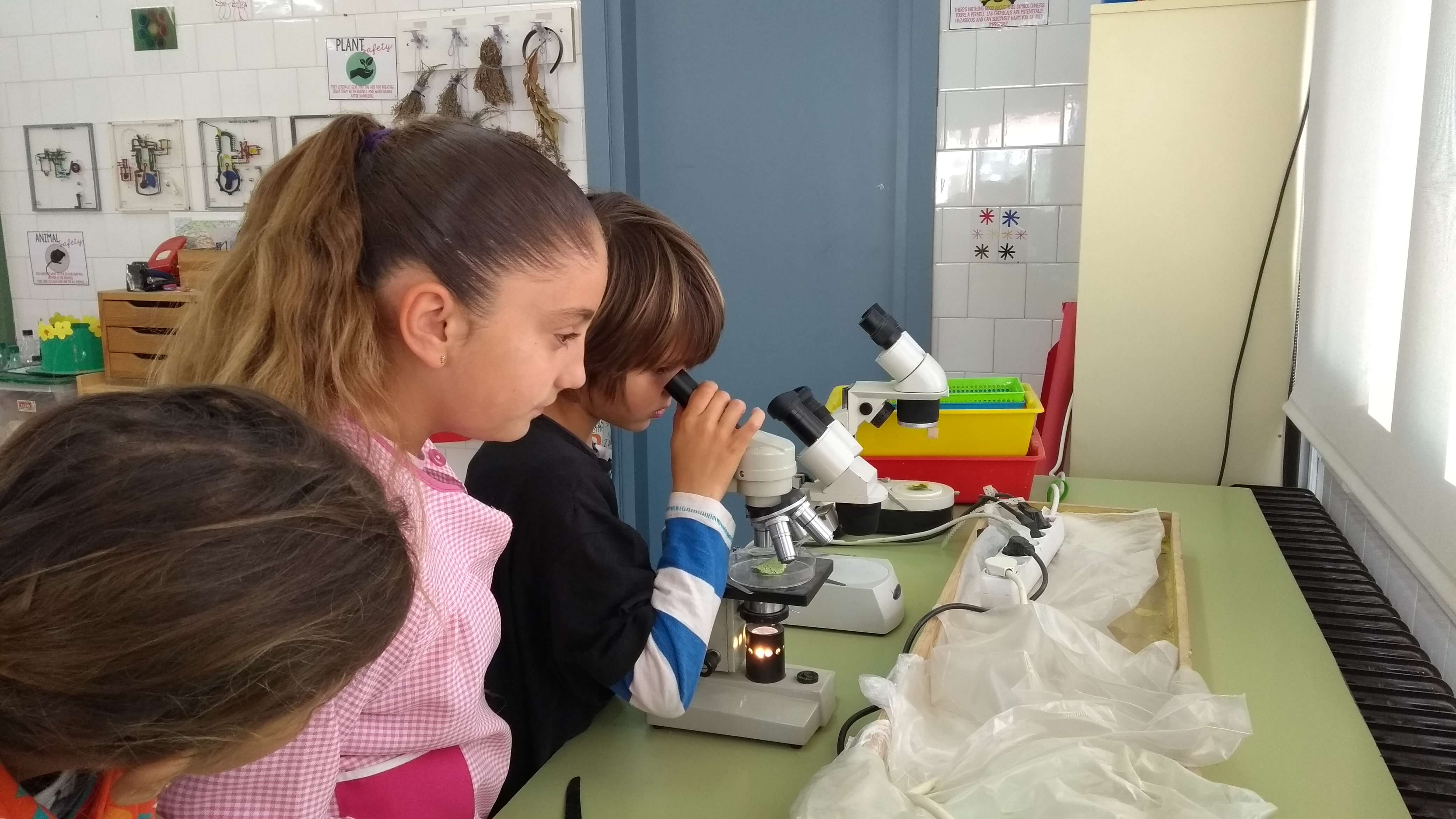 IMG_20180418_092715414