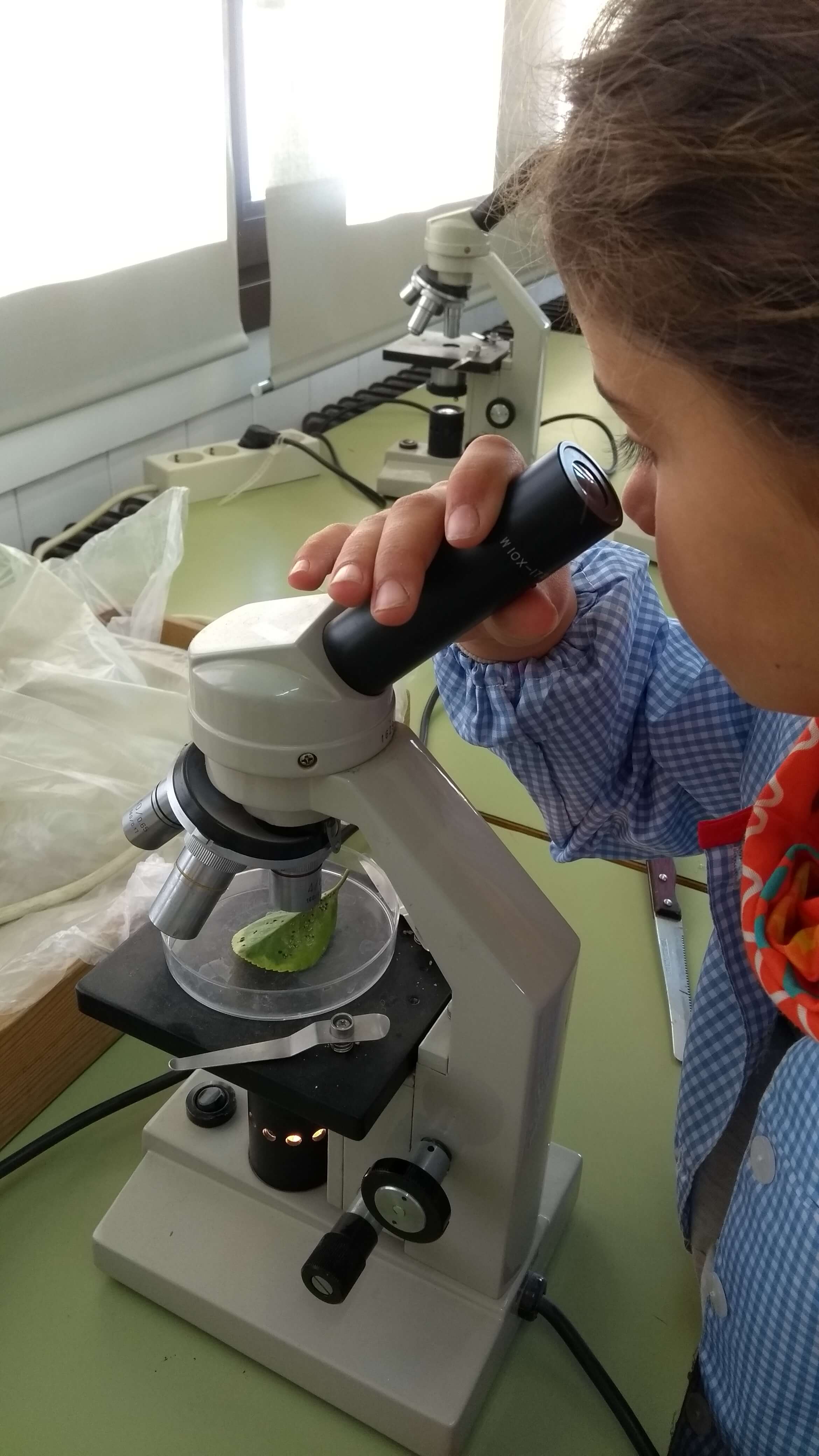 IMG_20180418_092727509