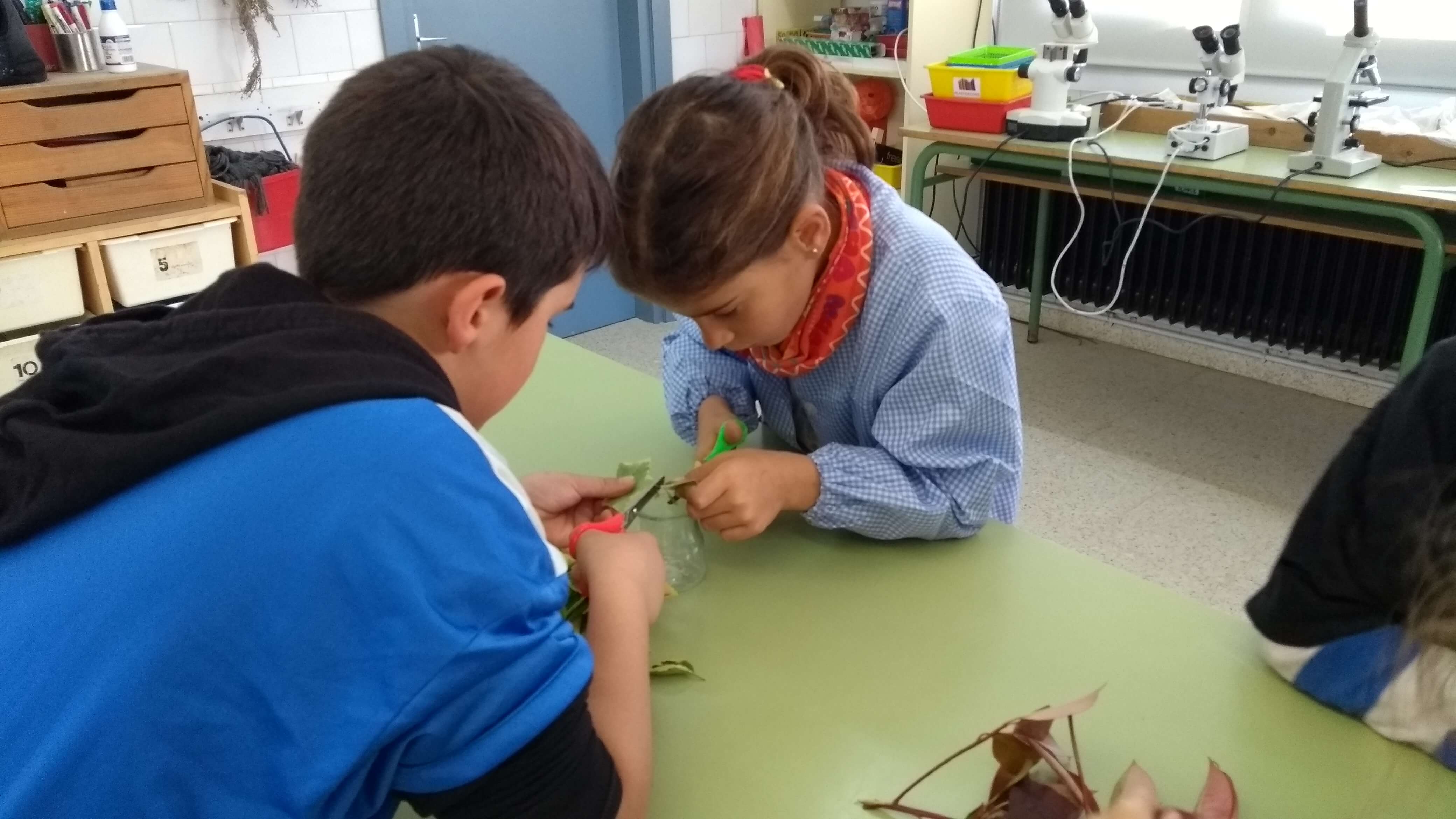 IMG_20180418_093022287