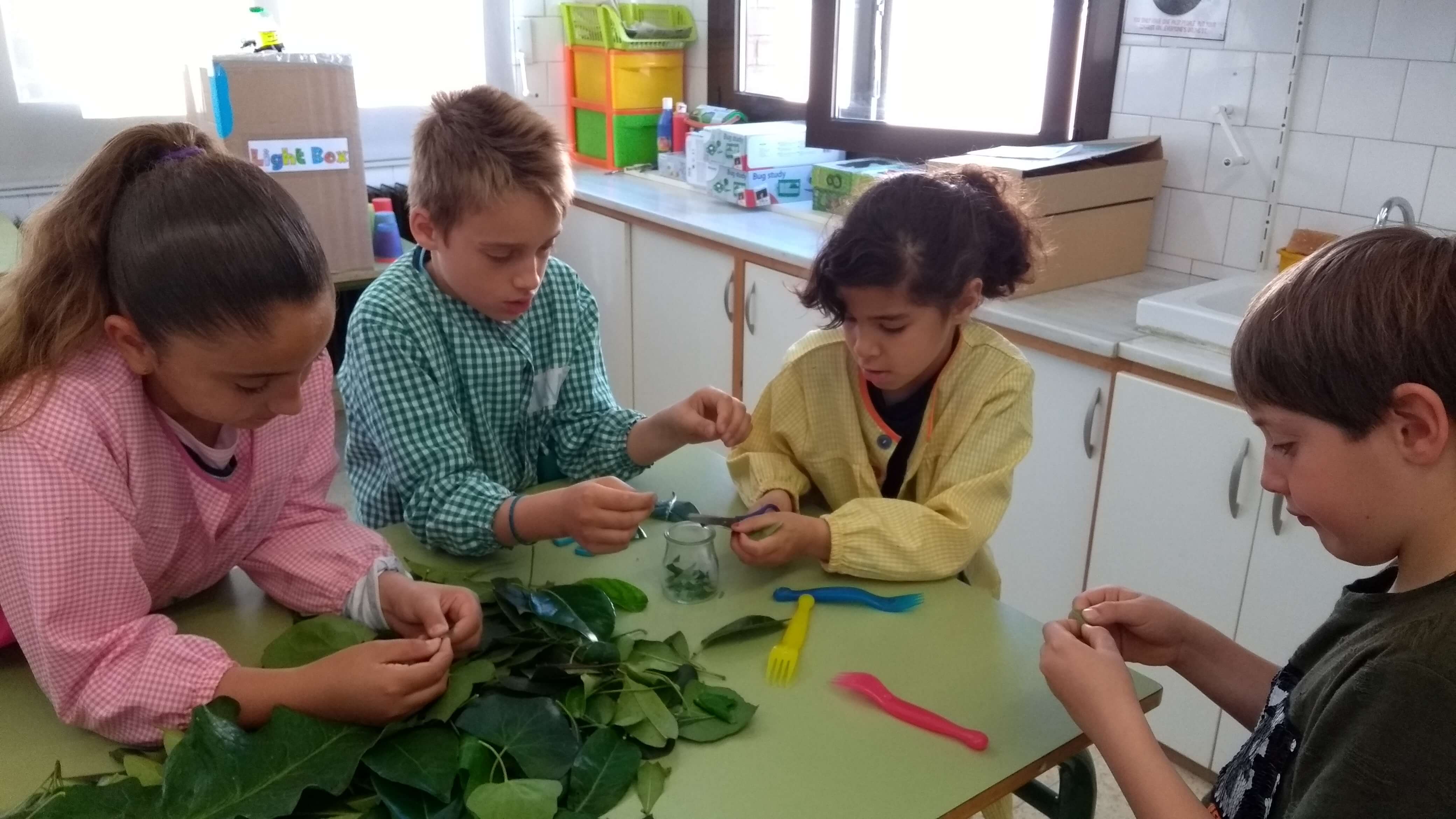 IMG_20180418_093119345