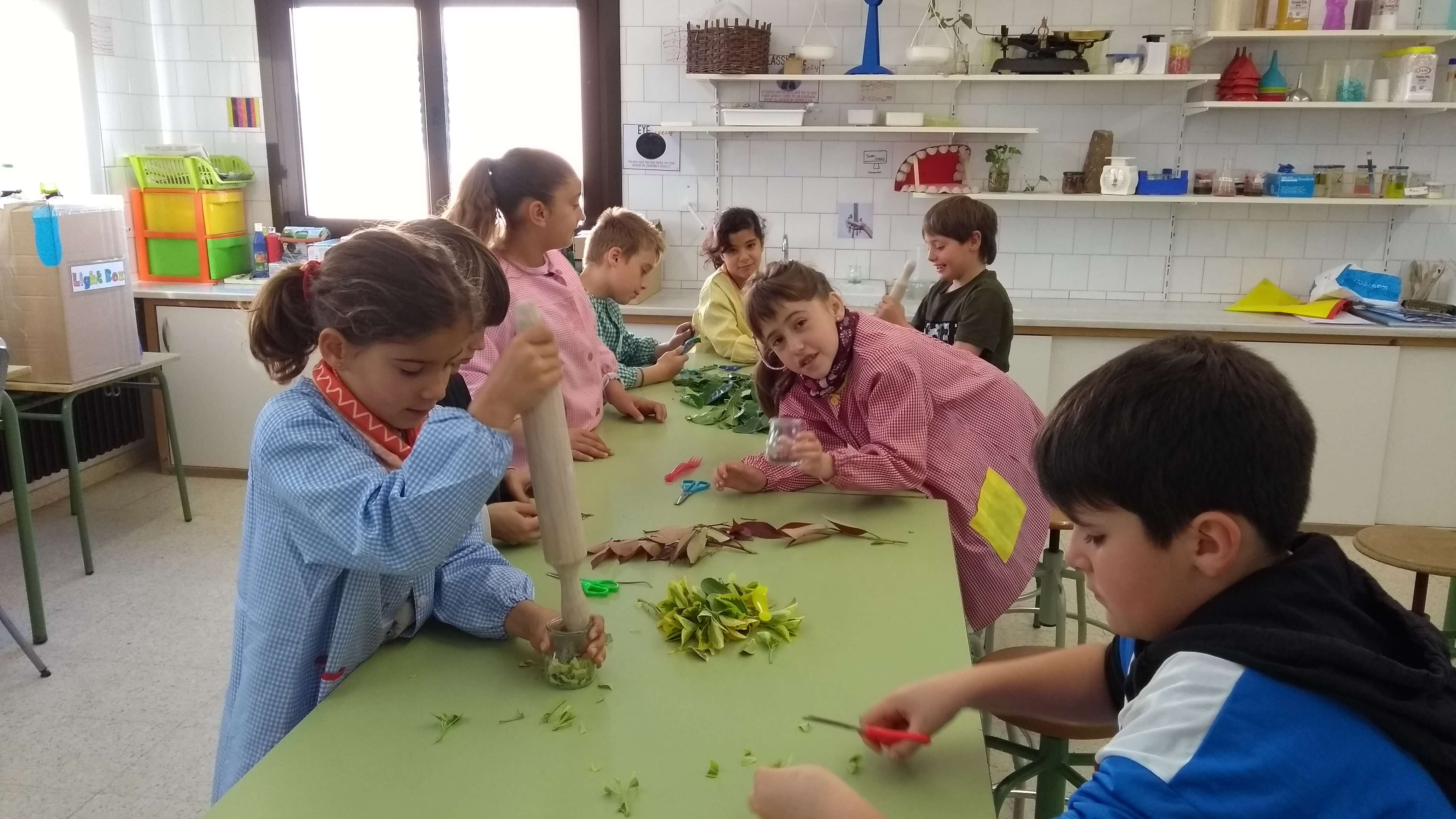 IMG_20180418_093517696_BURST000_COVER_TOP