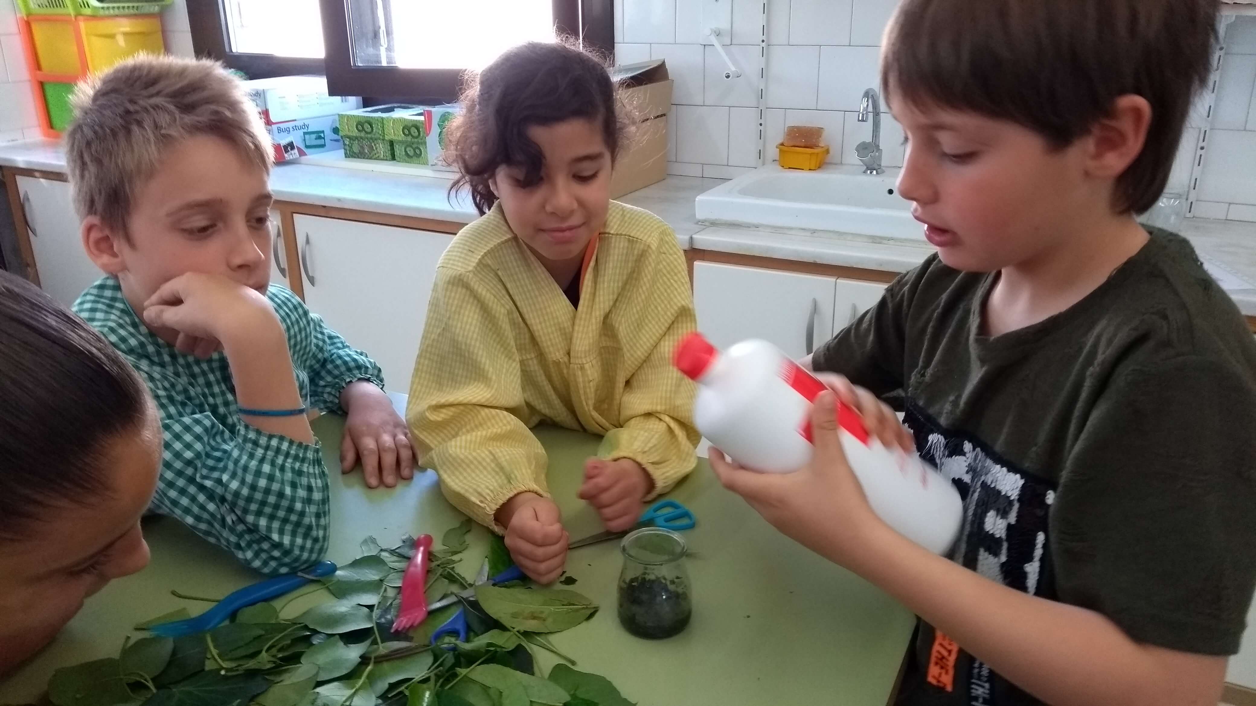 IMG_20180418_094210324