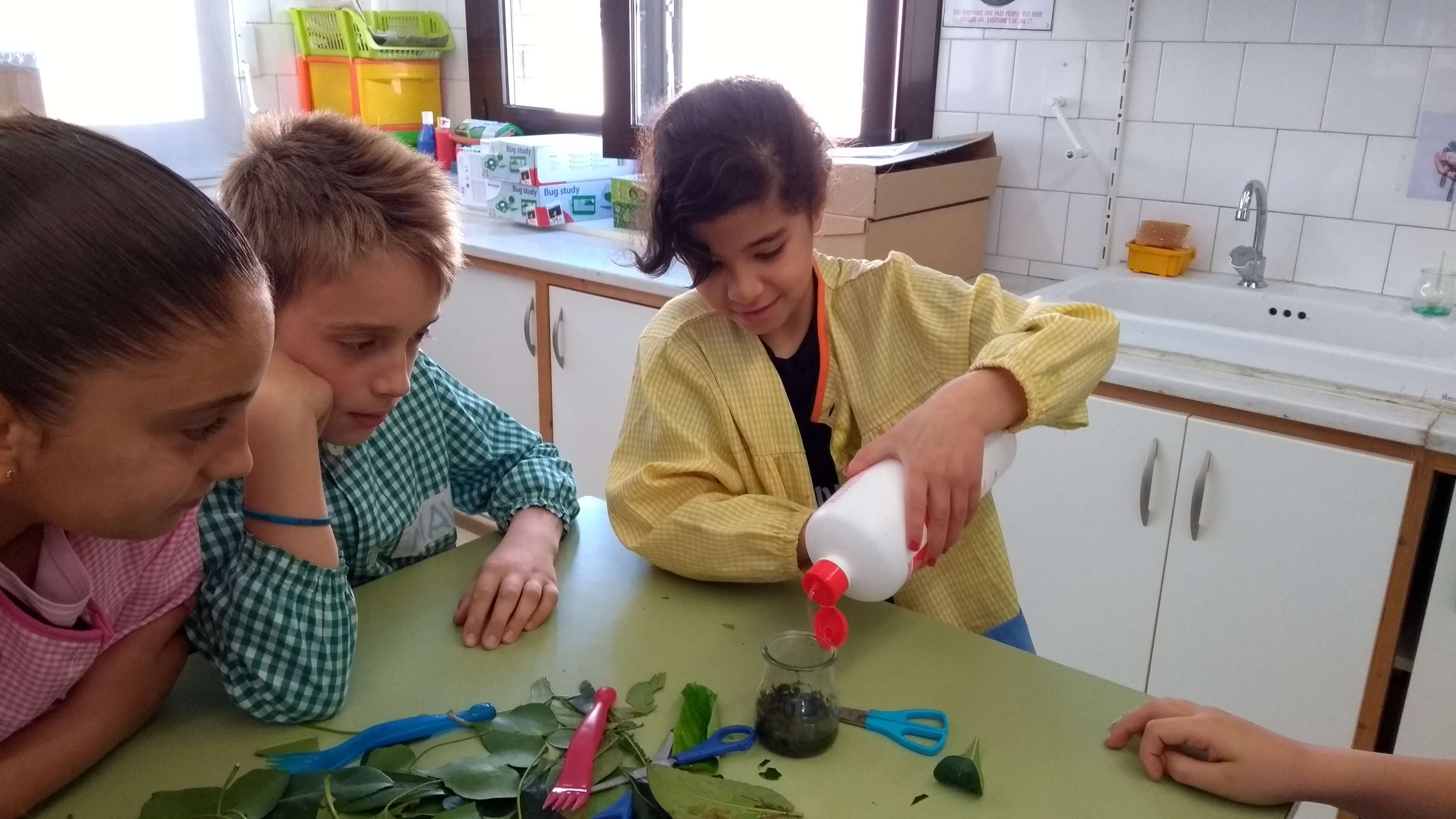 IMG_20180418_094215892