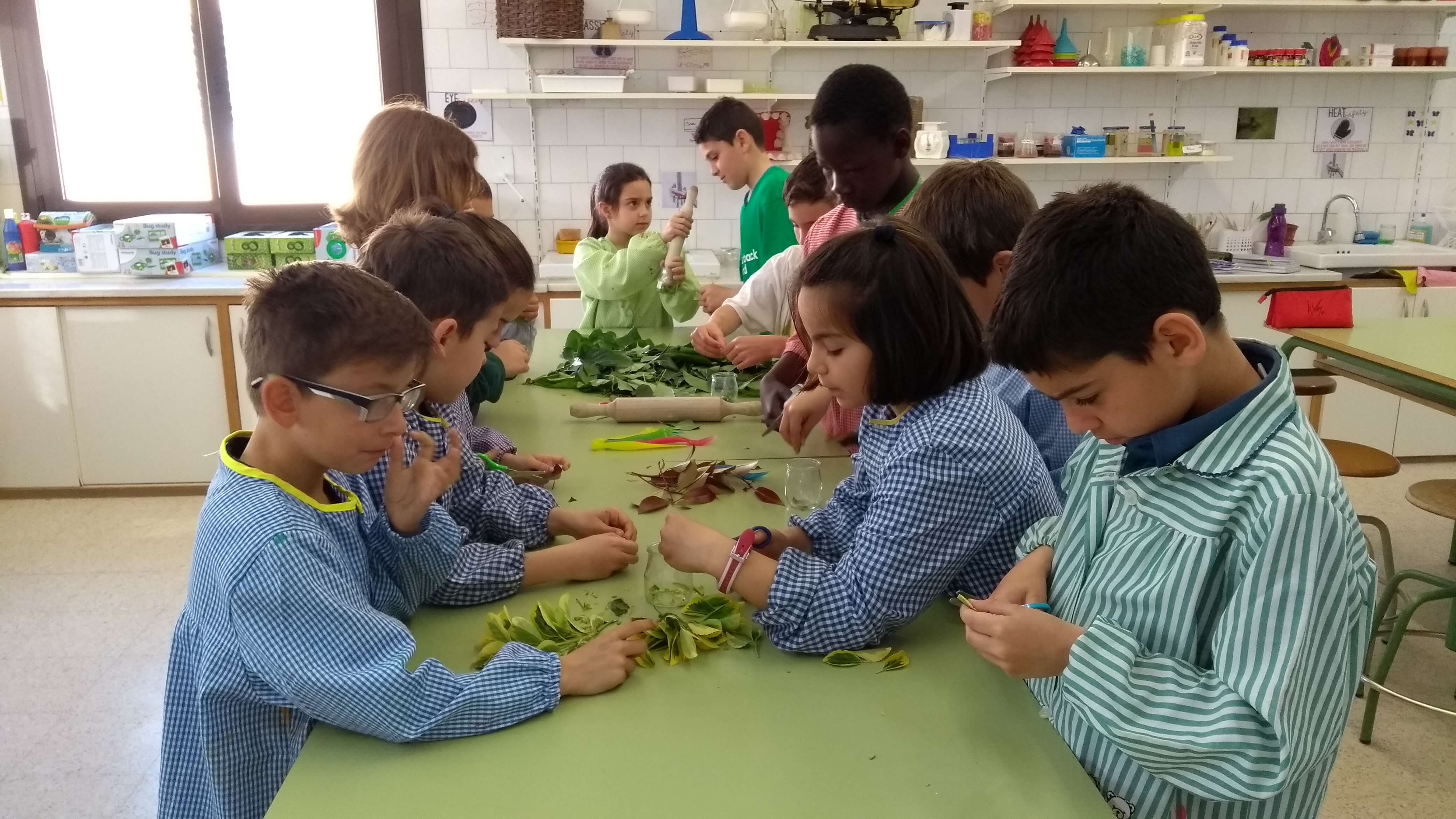 IMG_20180418_095538486