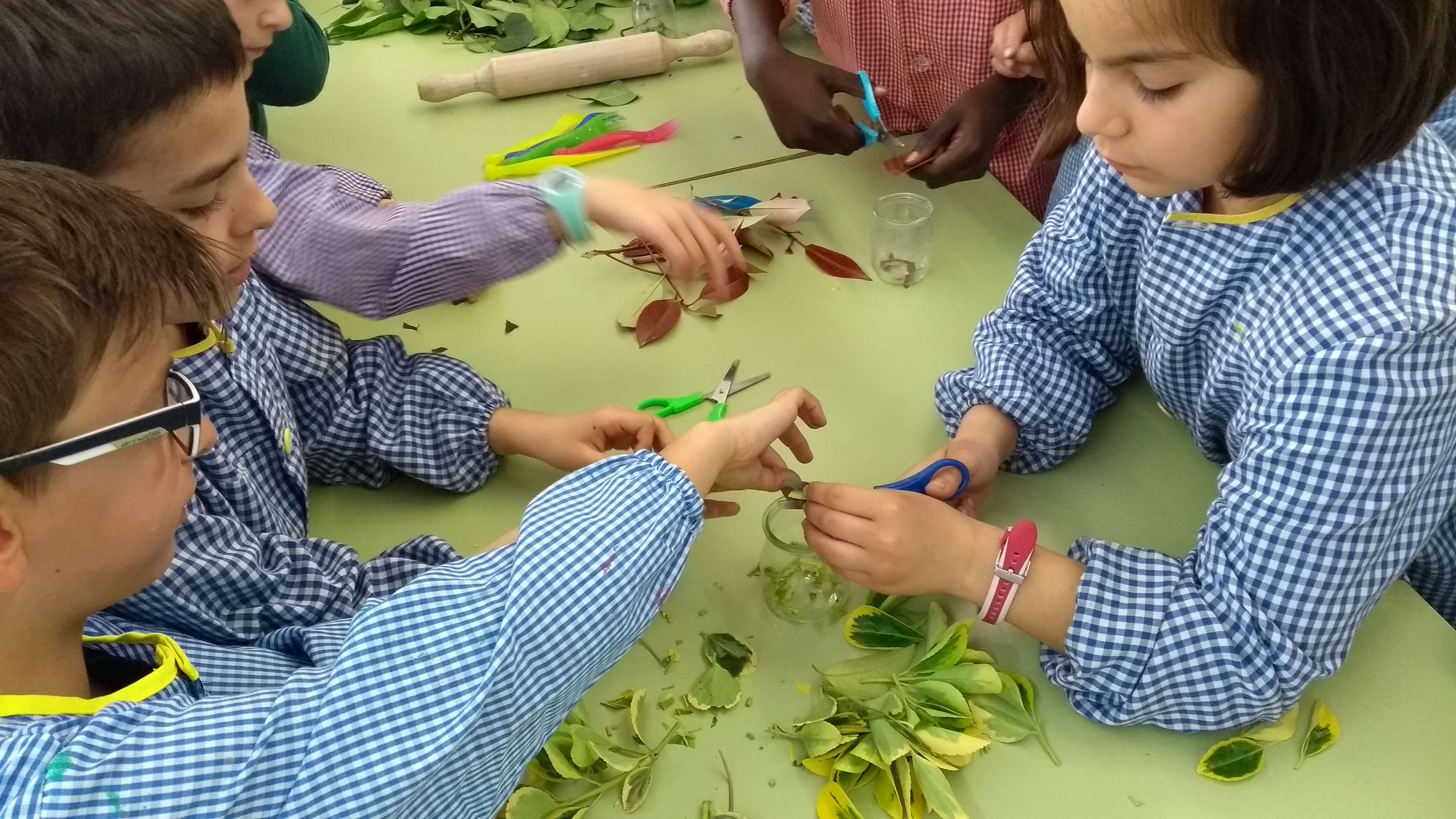 IMG_20180418_095548279