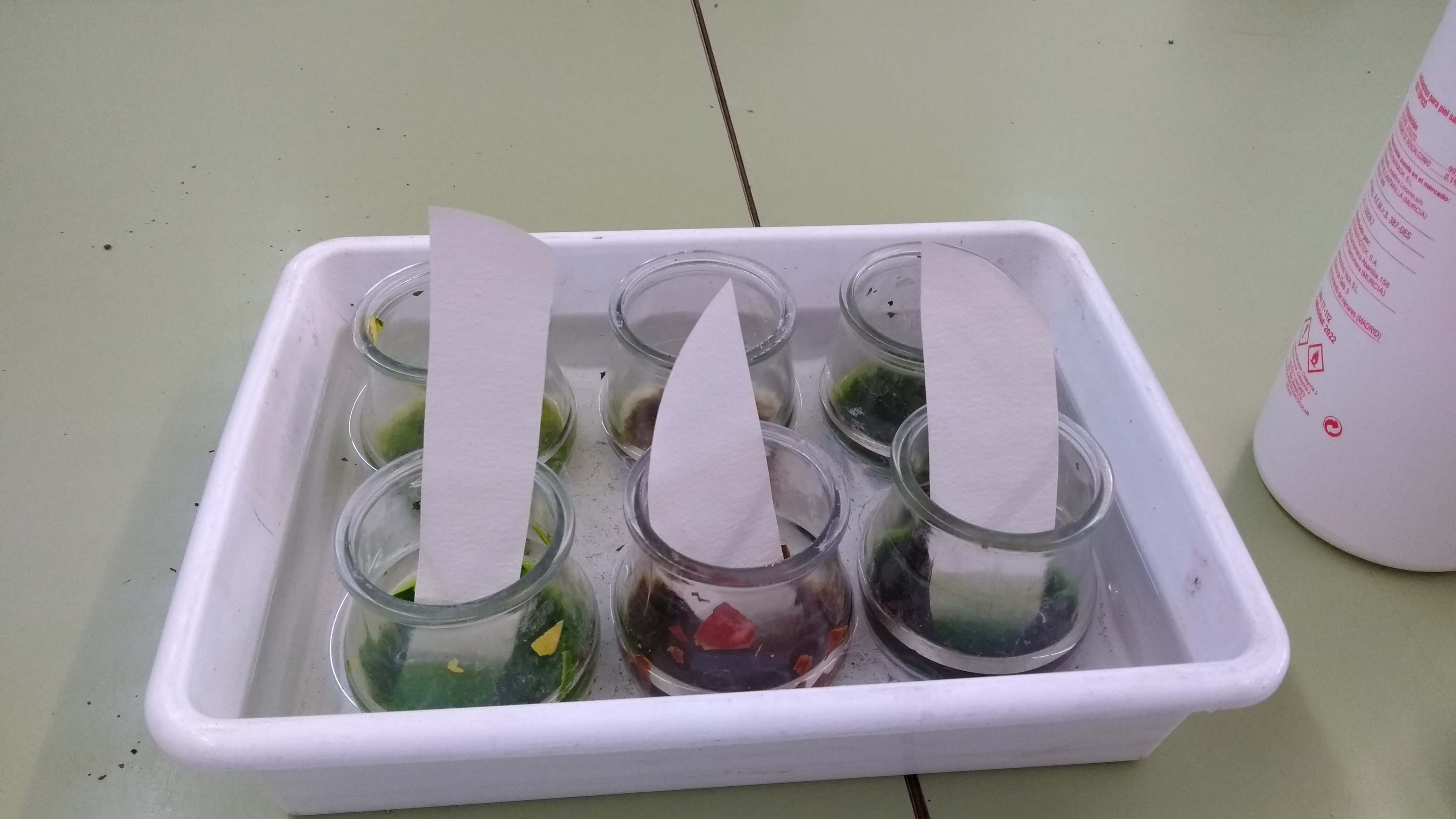 IMG_20180418_101835046