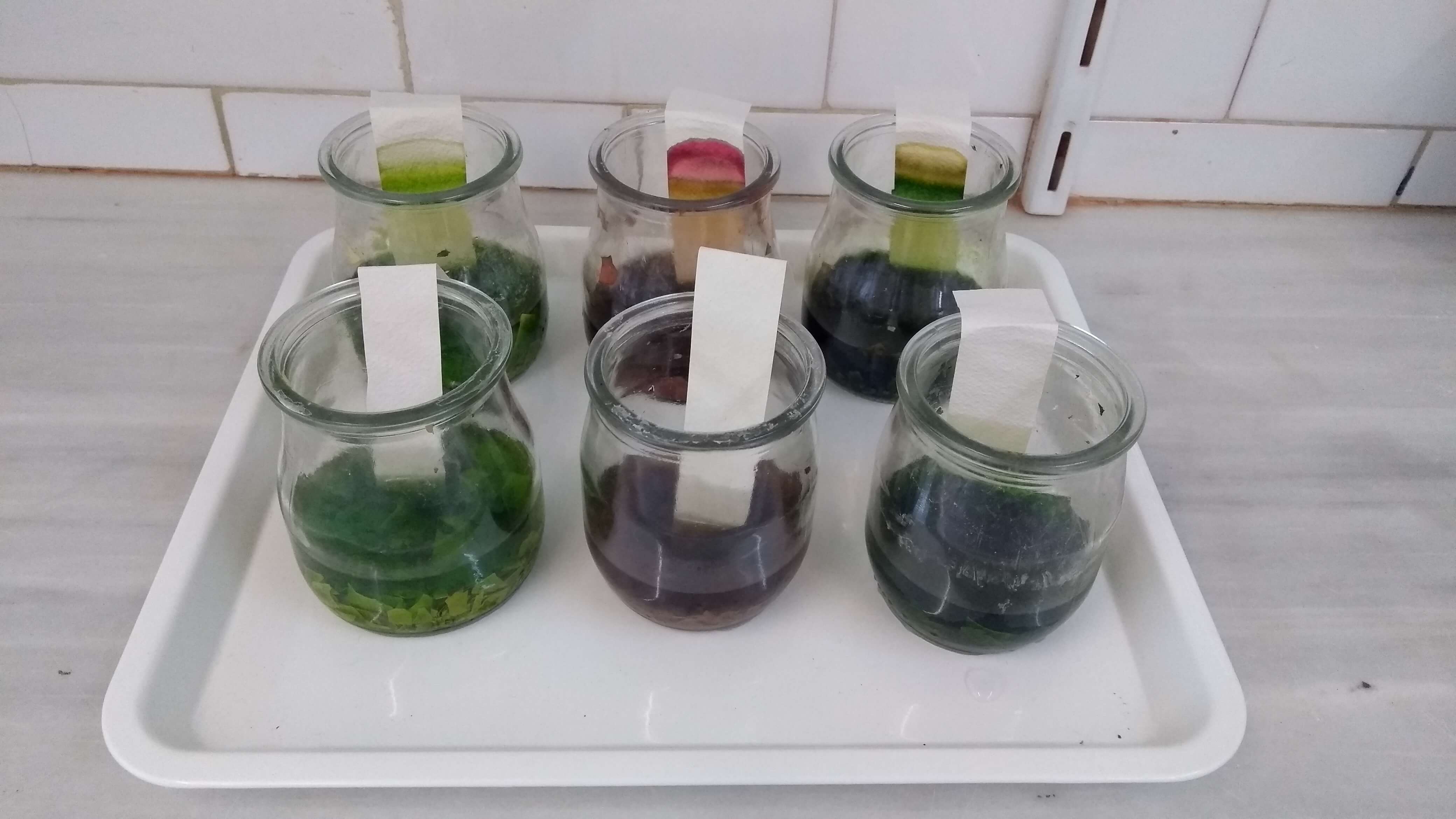 IMG_20180418_144043857