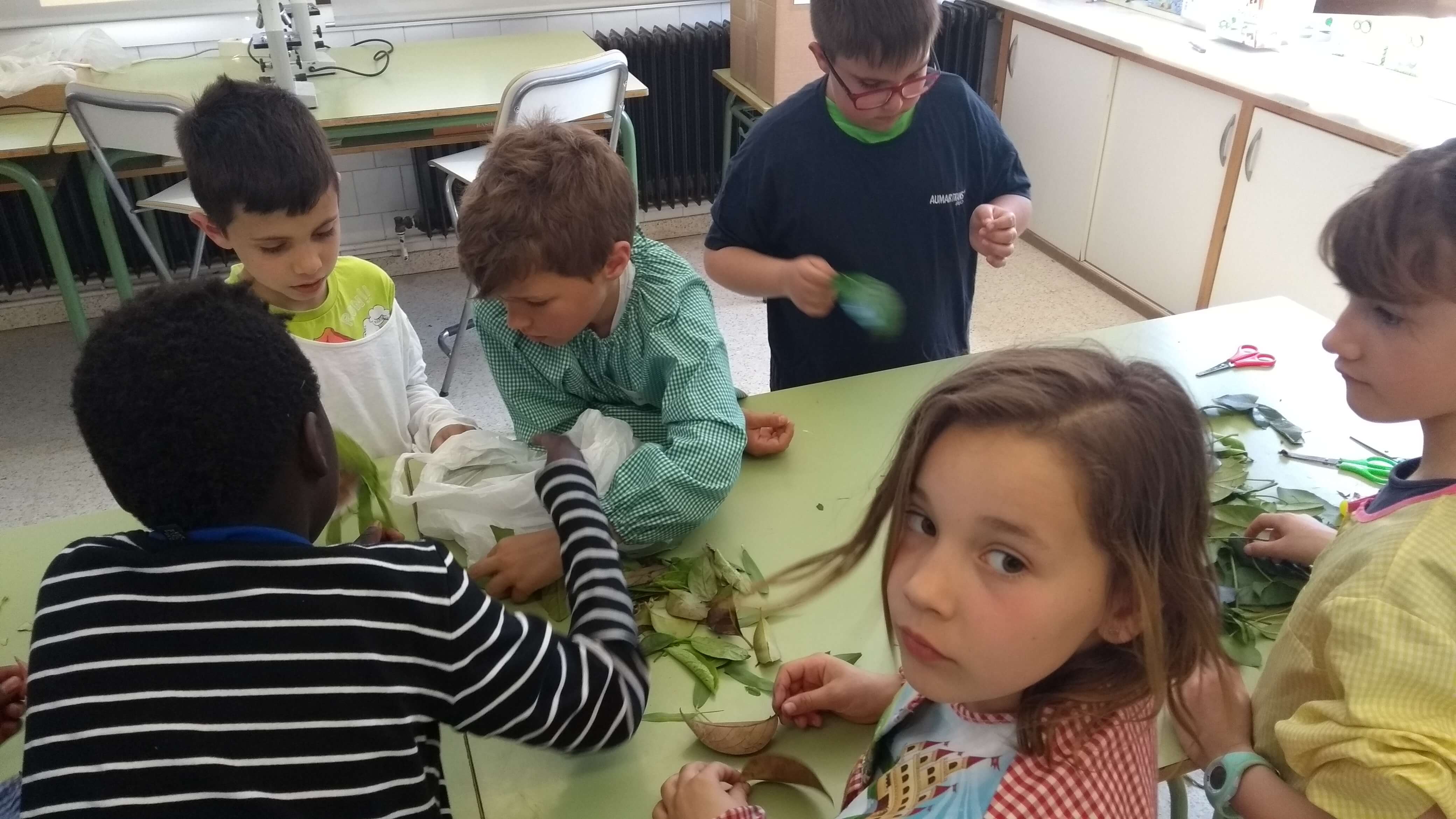 IMG_20180418_151740115