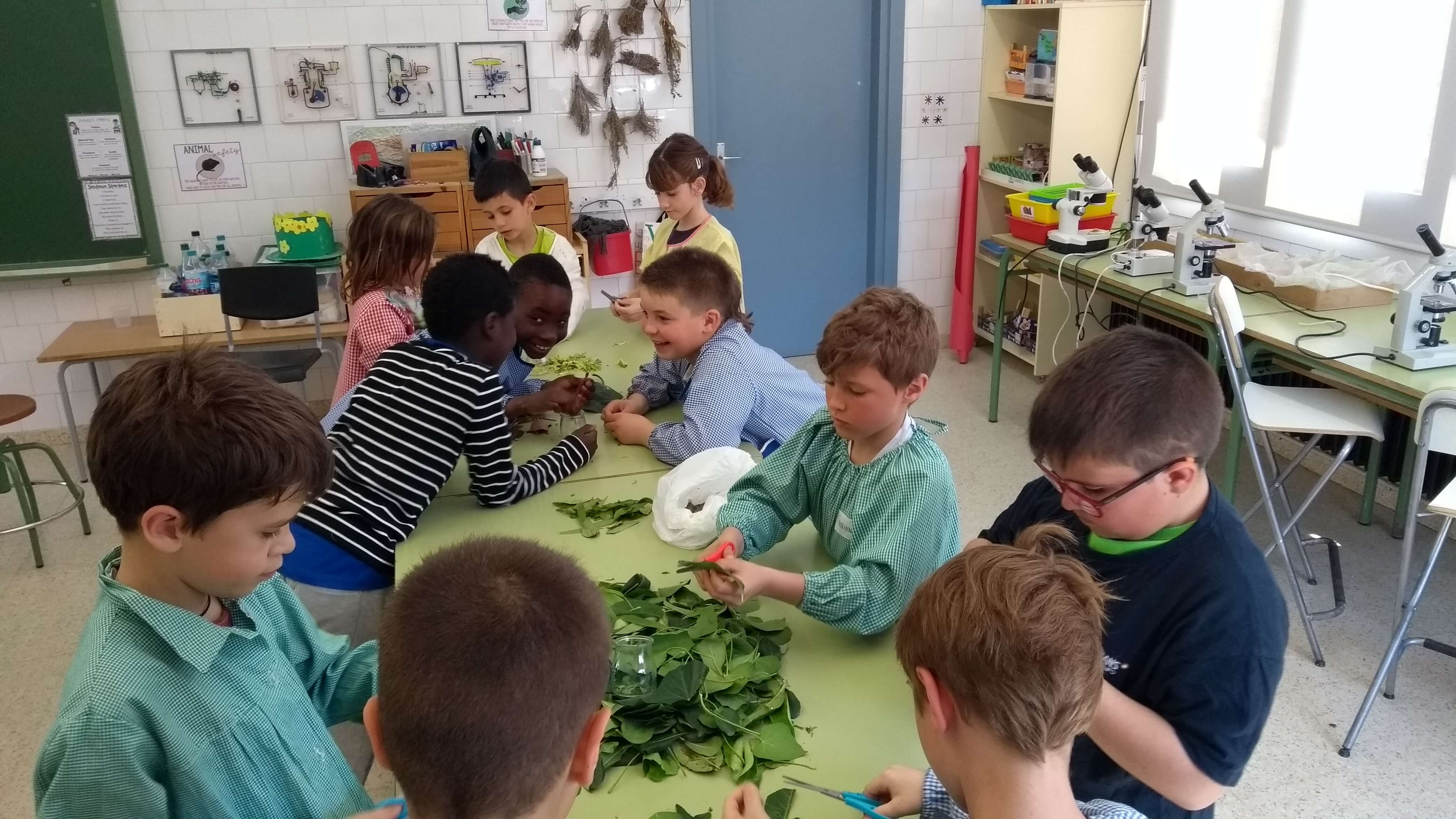 IMG_20180418_152109306