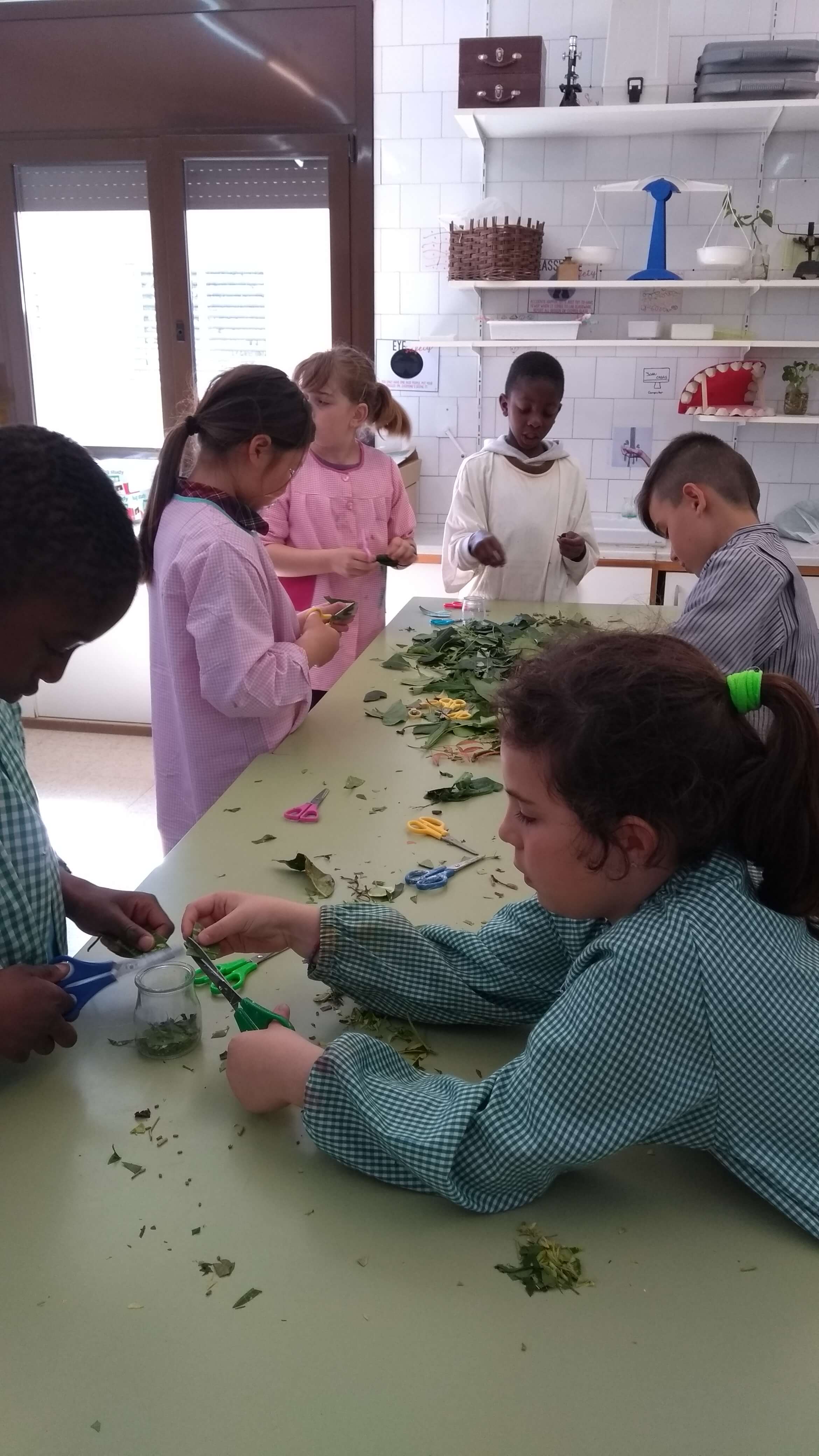 IMG_20180418_160349814