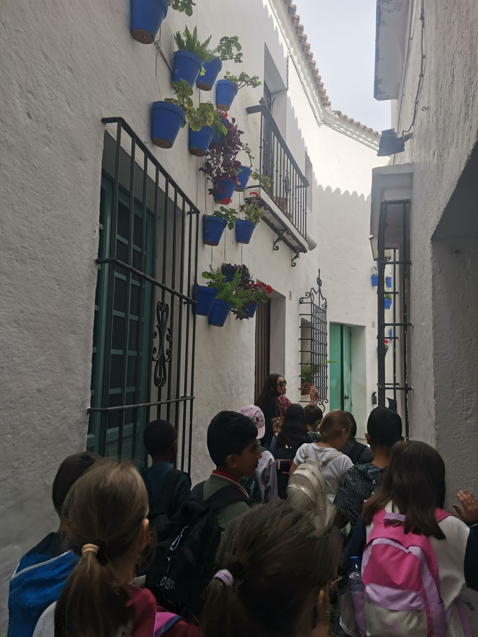 IMG_20241018_120813 (1)