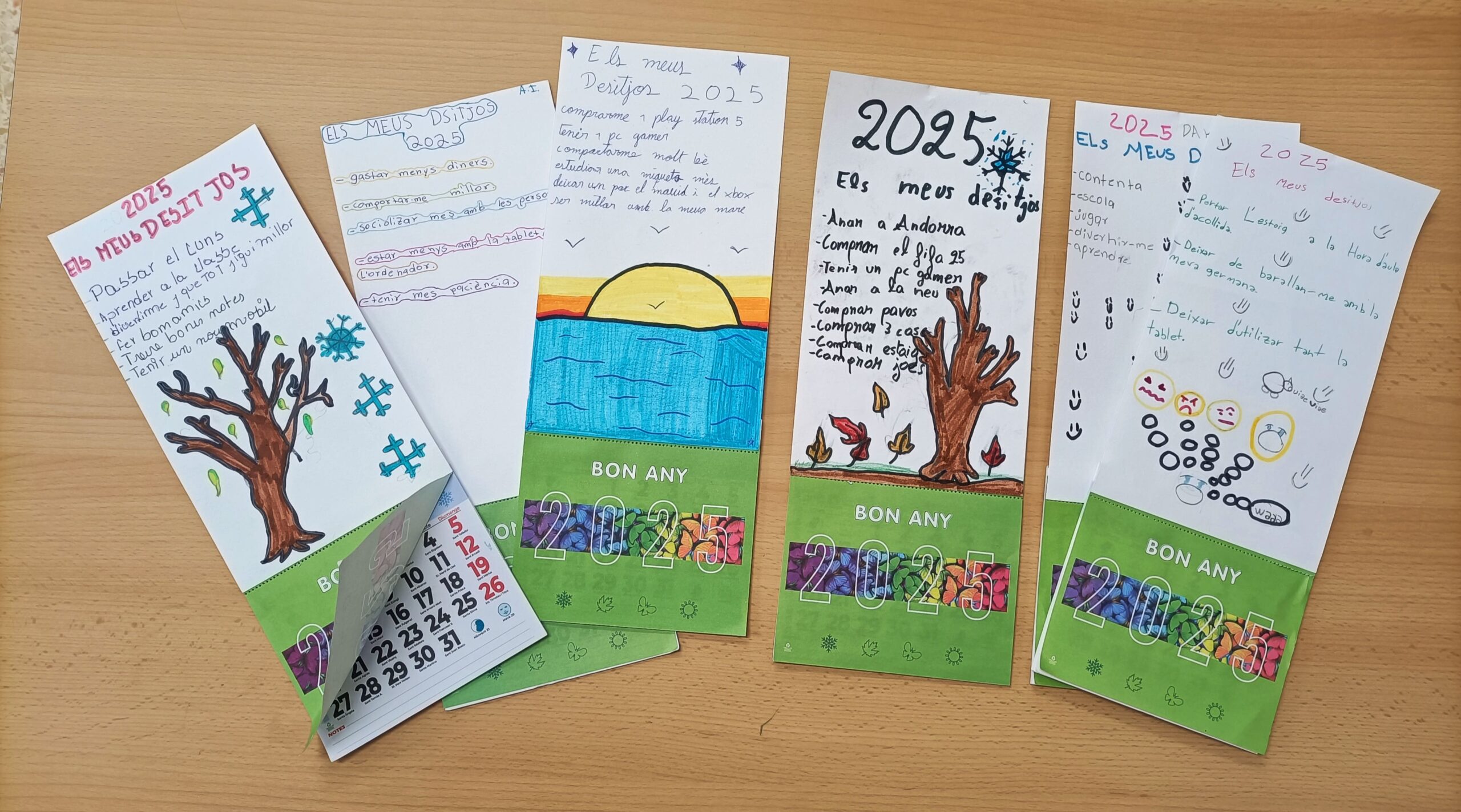 Activitat propòsits i calendari