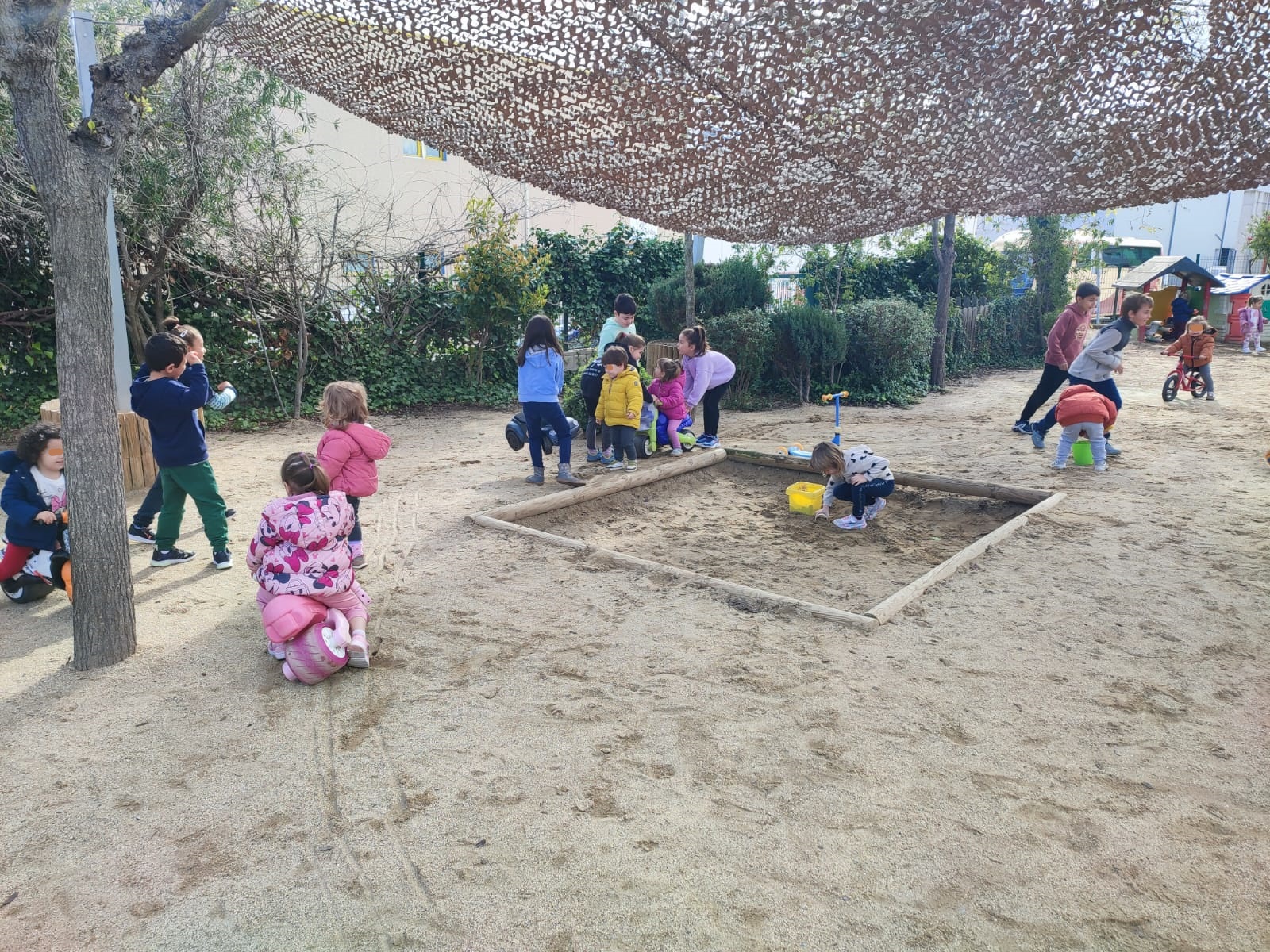 WhatsApp Image 2025-03-12 at 14.09.38